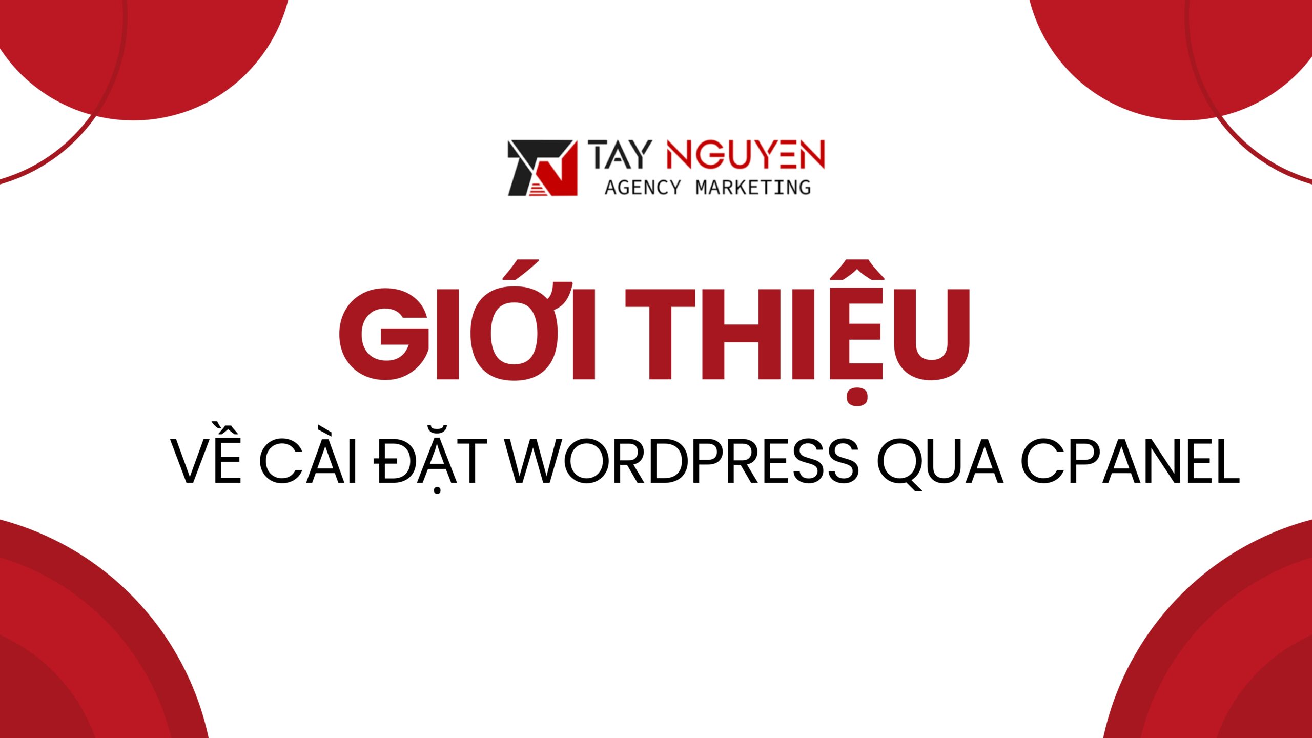 Giới thiệu về cài đặt WordPress qua cPanel
