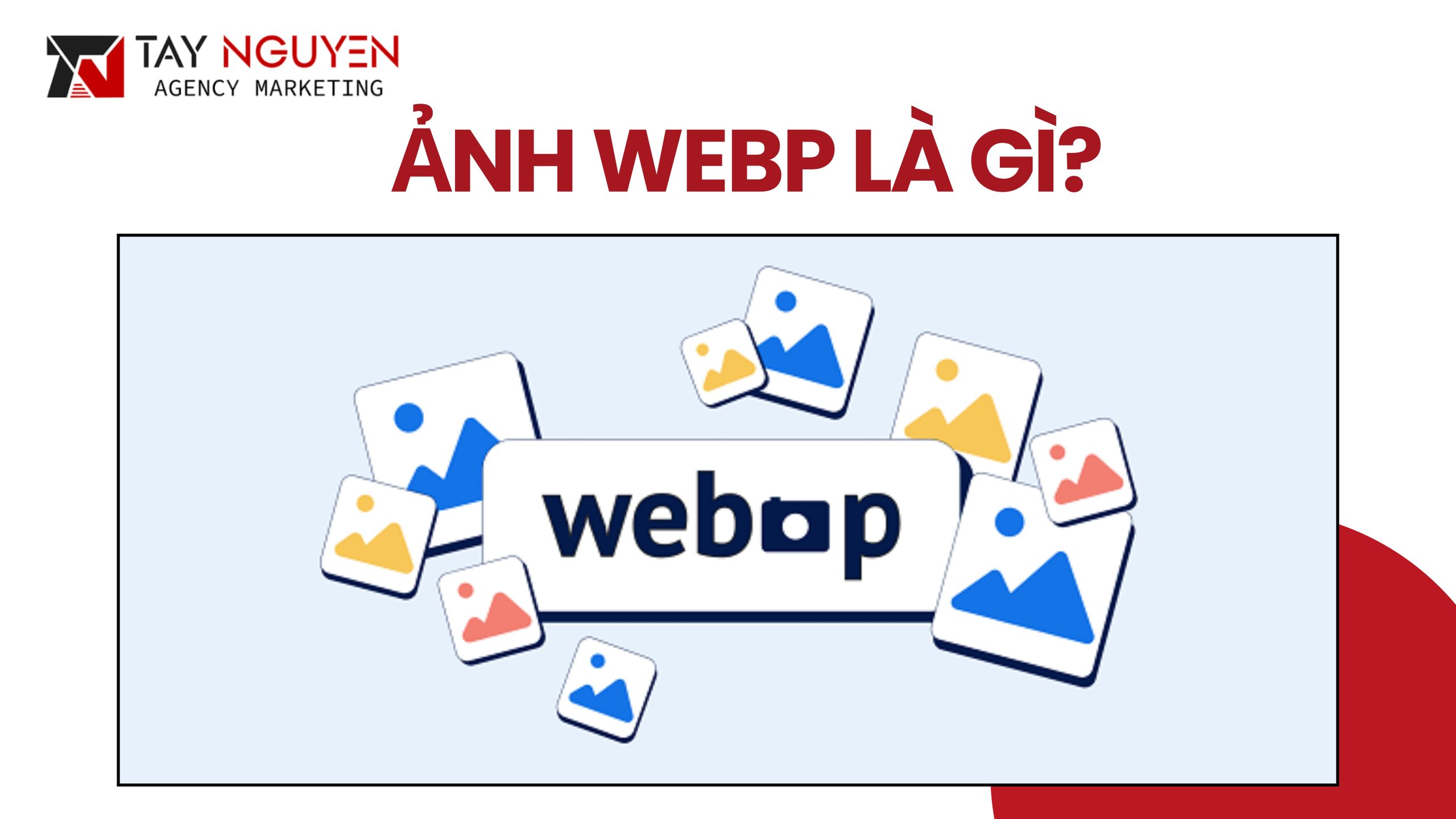 Tại sao cần tối ưu ảnh WebP trên WordPress?