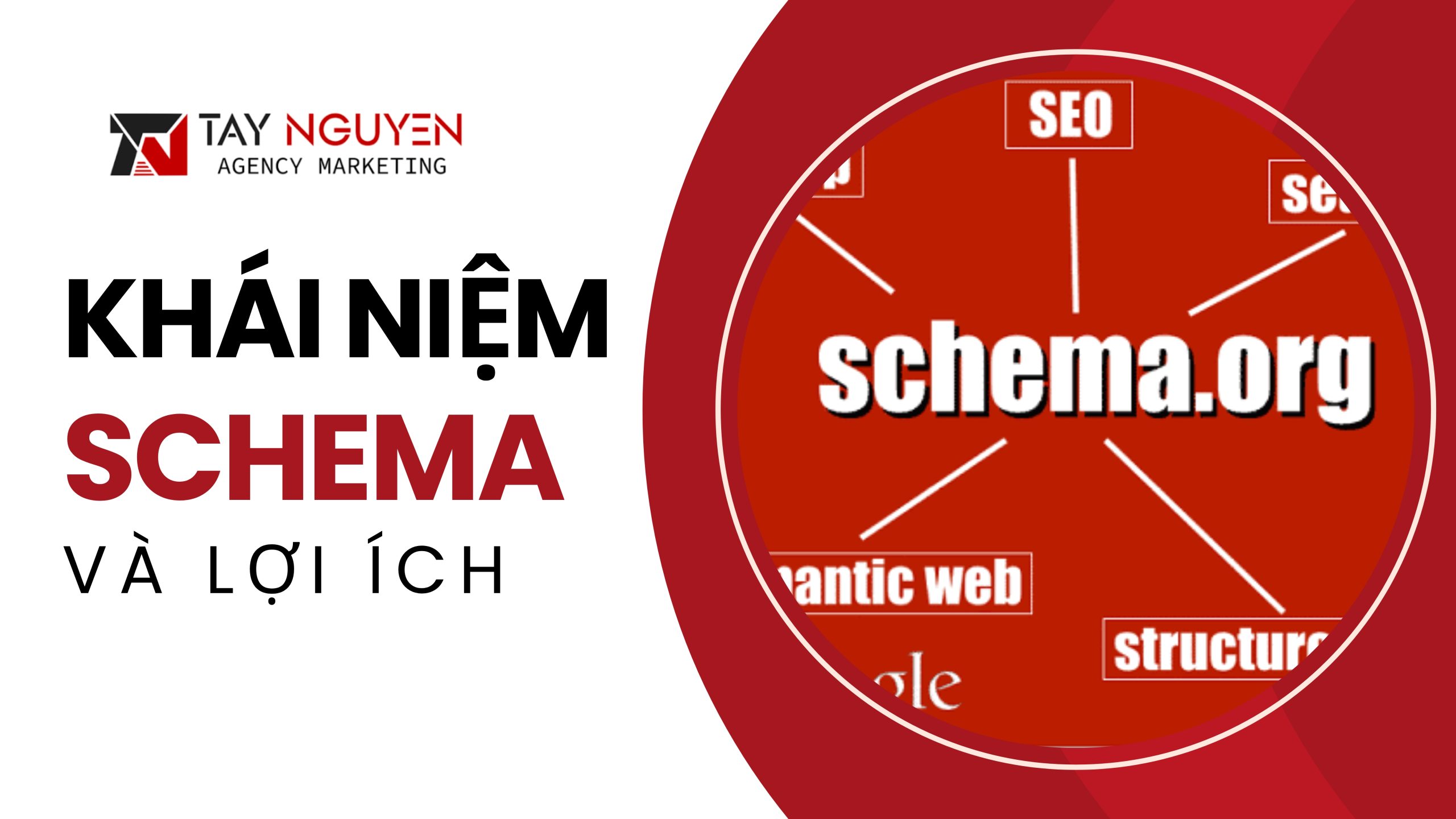 Schema là gì? Định nghĩa và lợi ích chính
