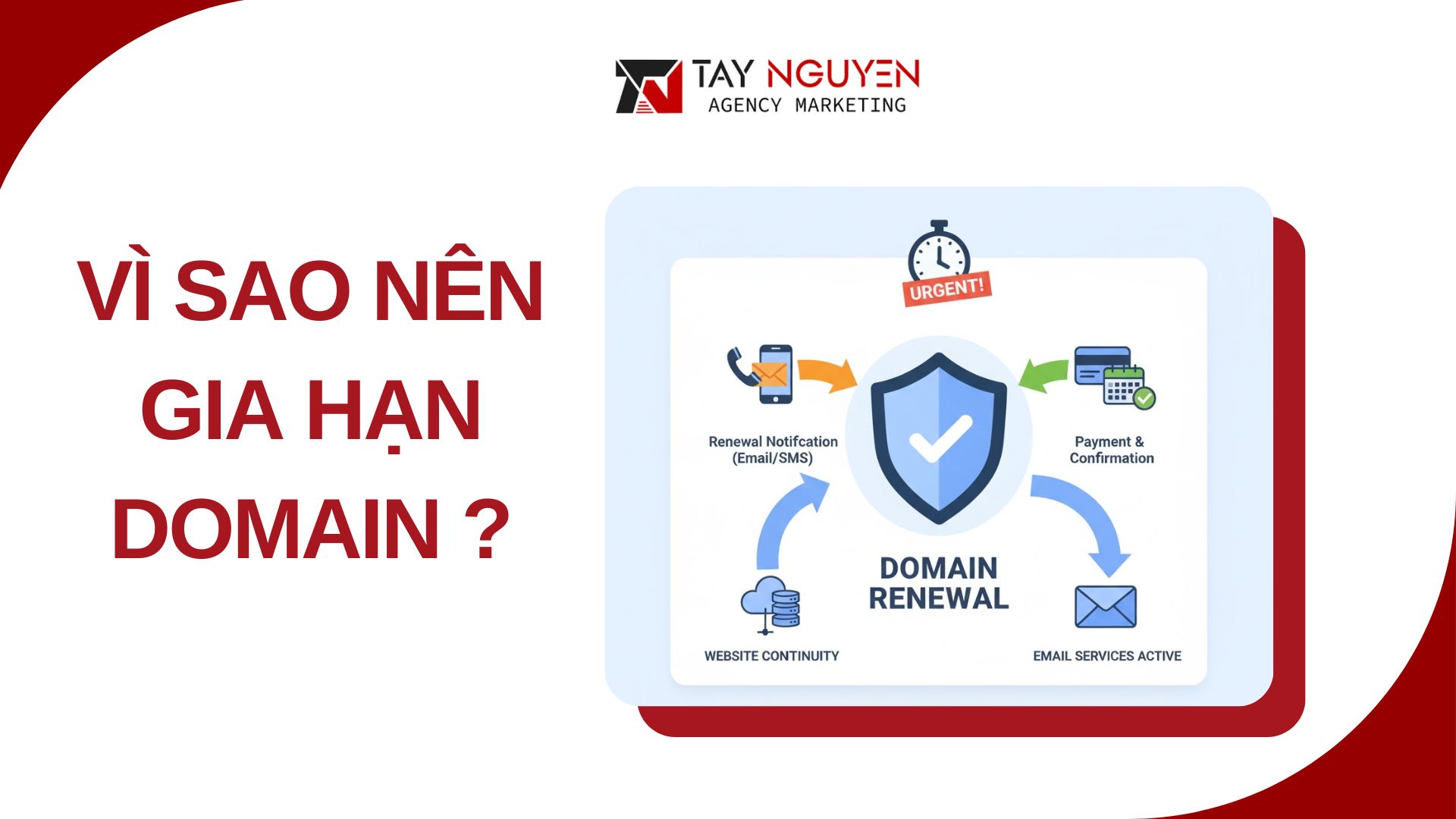 Gia hạn domain là gì và vì sao cần thiết?