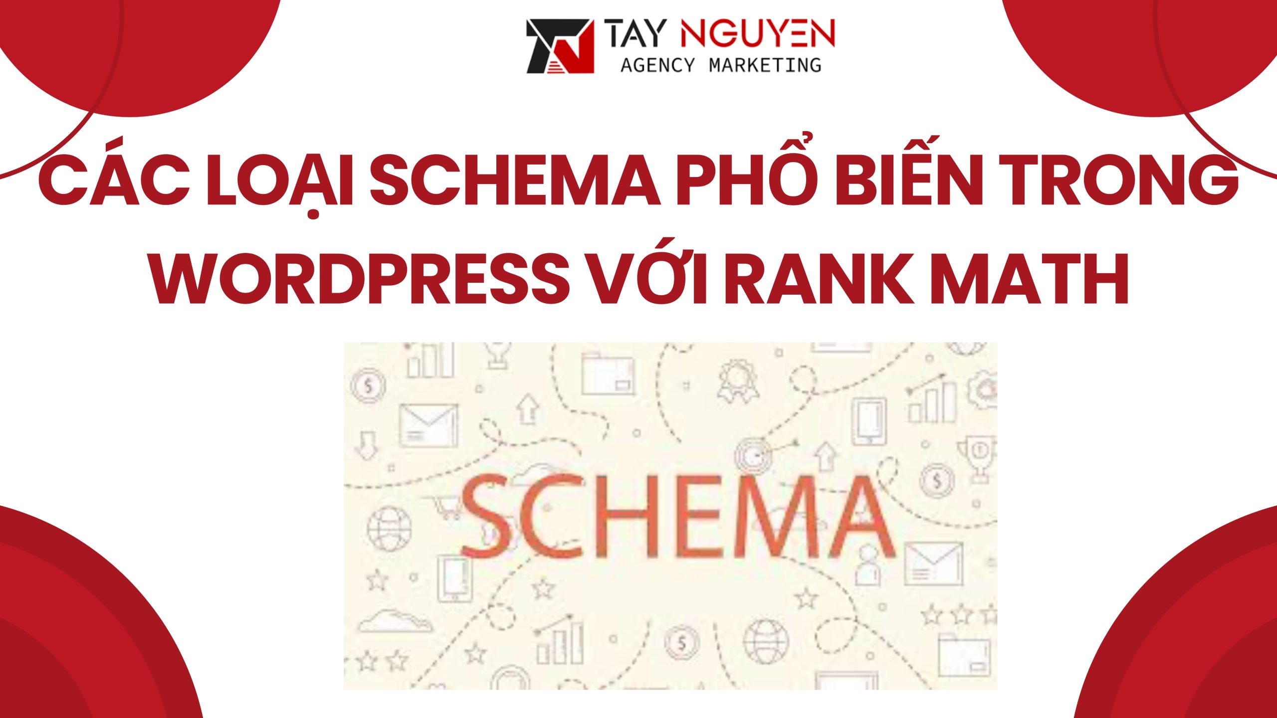 Các Loại Schema WordPress với Rank Math phổ biến