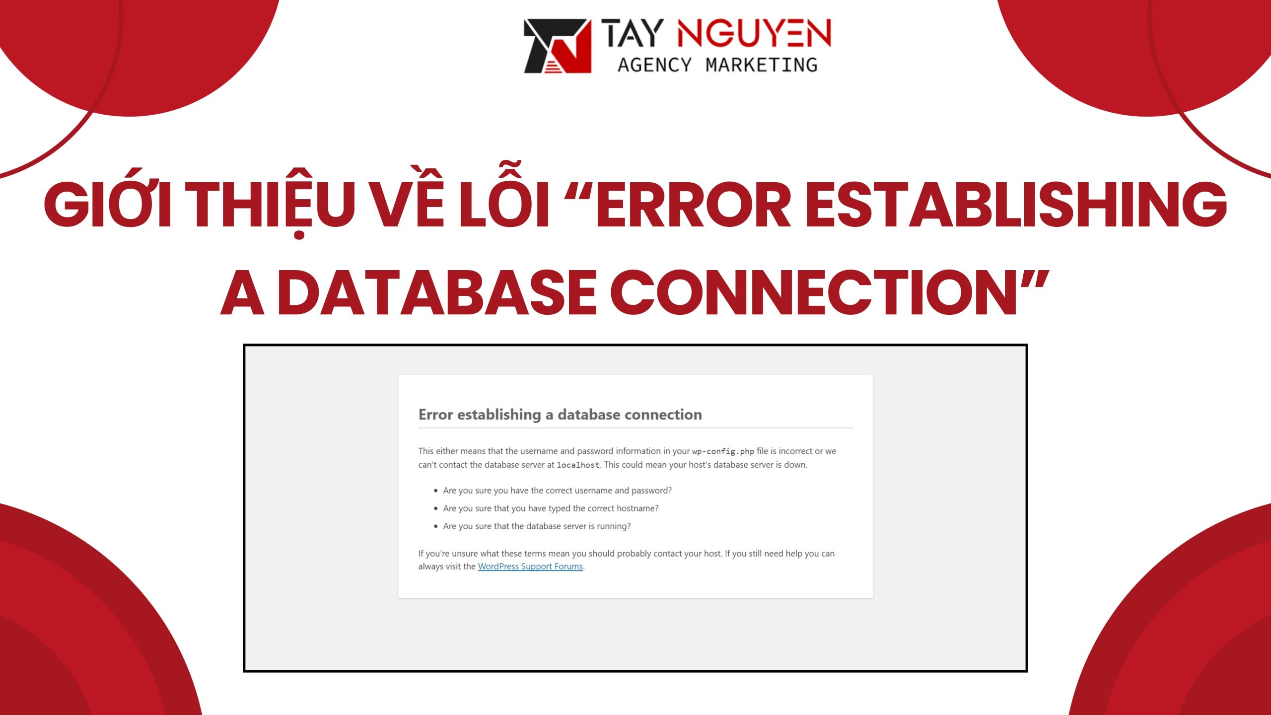 Giới Thiệu Về Lỗi “Error Establishing a Database Connection”