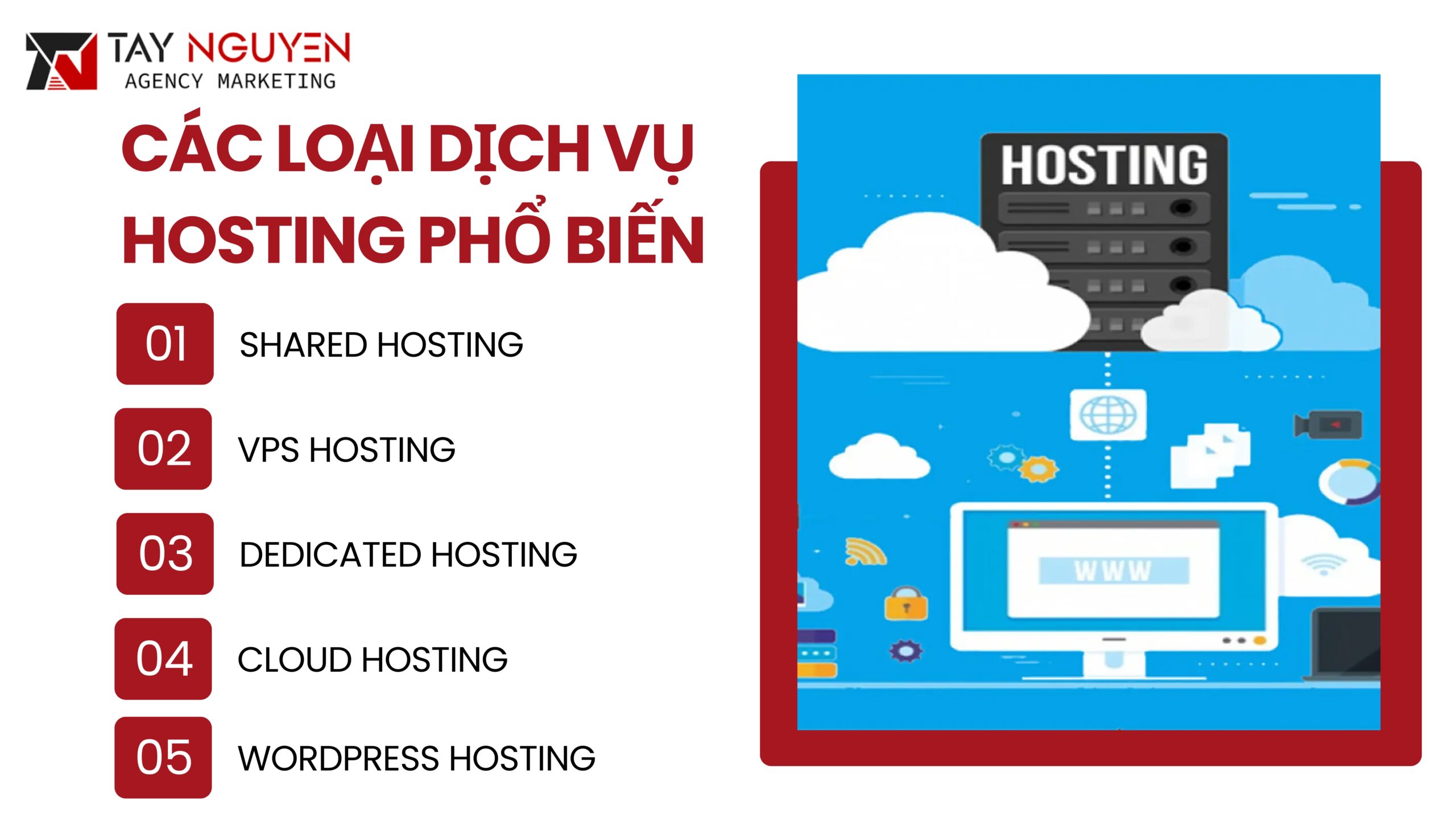 Các loại dịch vụ hosting phổ biến nhất hiện nay