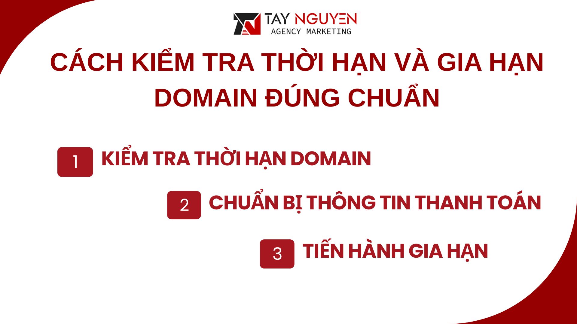 Cách kiểm tra thời hạn và gia hạn domain đúng chuẩn