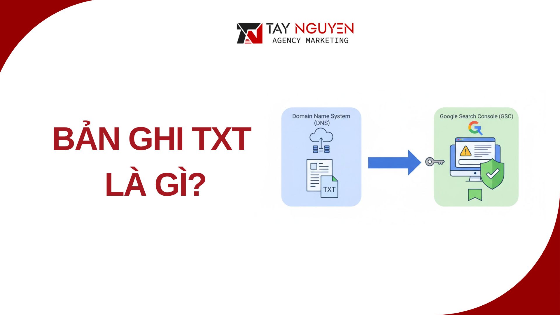 Bản Ghi TXT Là Gì?