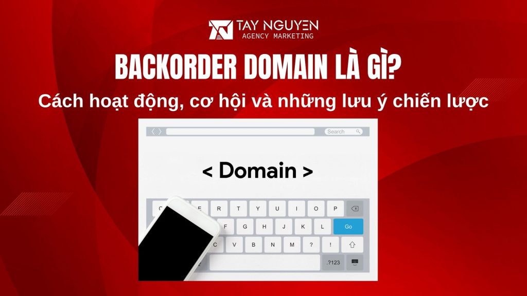 Backorder Domain là gì? Cách hoạt động, cơ hội và những lưu ý chiến lược