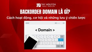 Backorder Domain là gì? Cách hoạt động, cơ hội và những lưu ý chiến lược