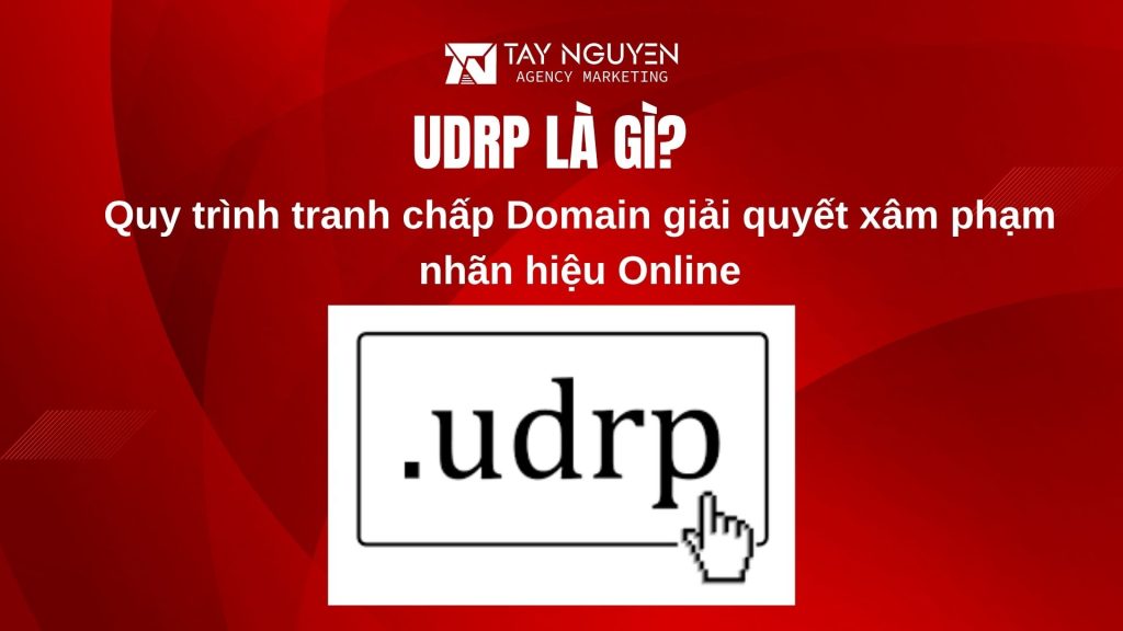 UDRP là Gì? Quy trình tranh chấp Domain giải quyết xâm phạm nhãn hiệu Online