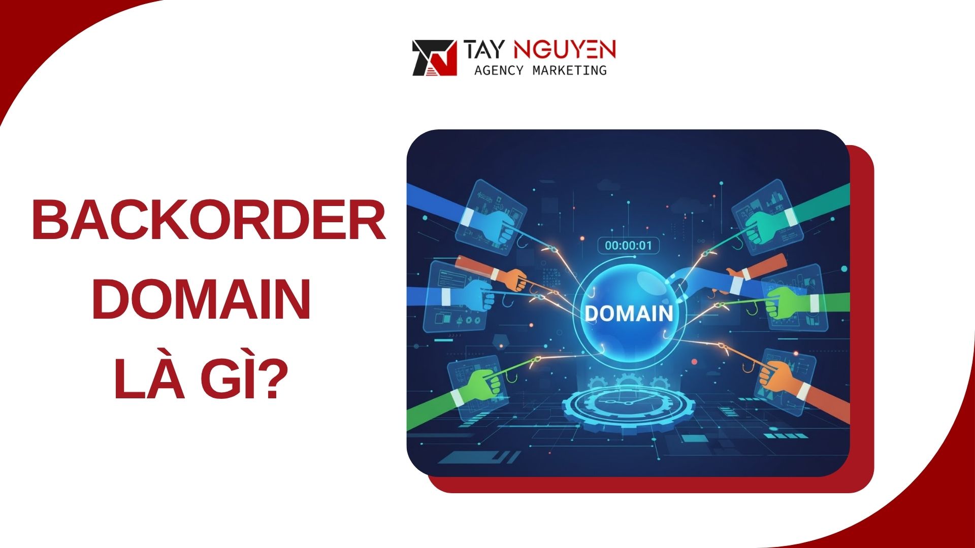 Backorder Domain Là Gì? 