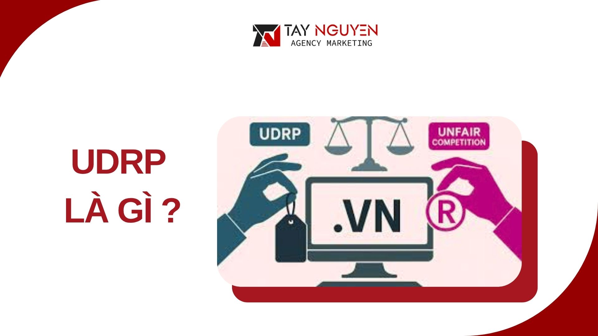UDRP Là Gì ?