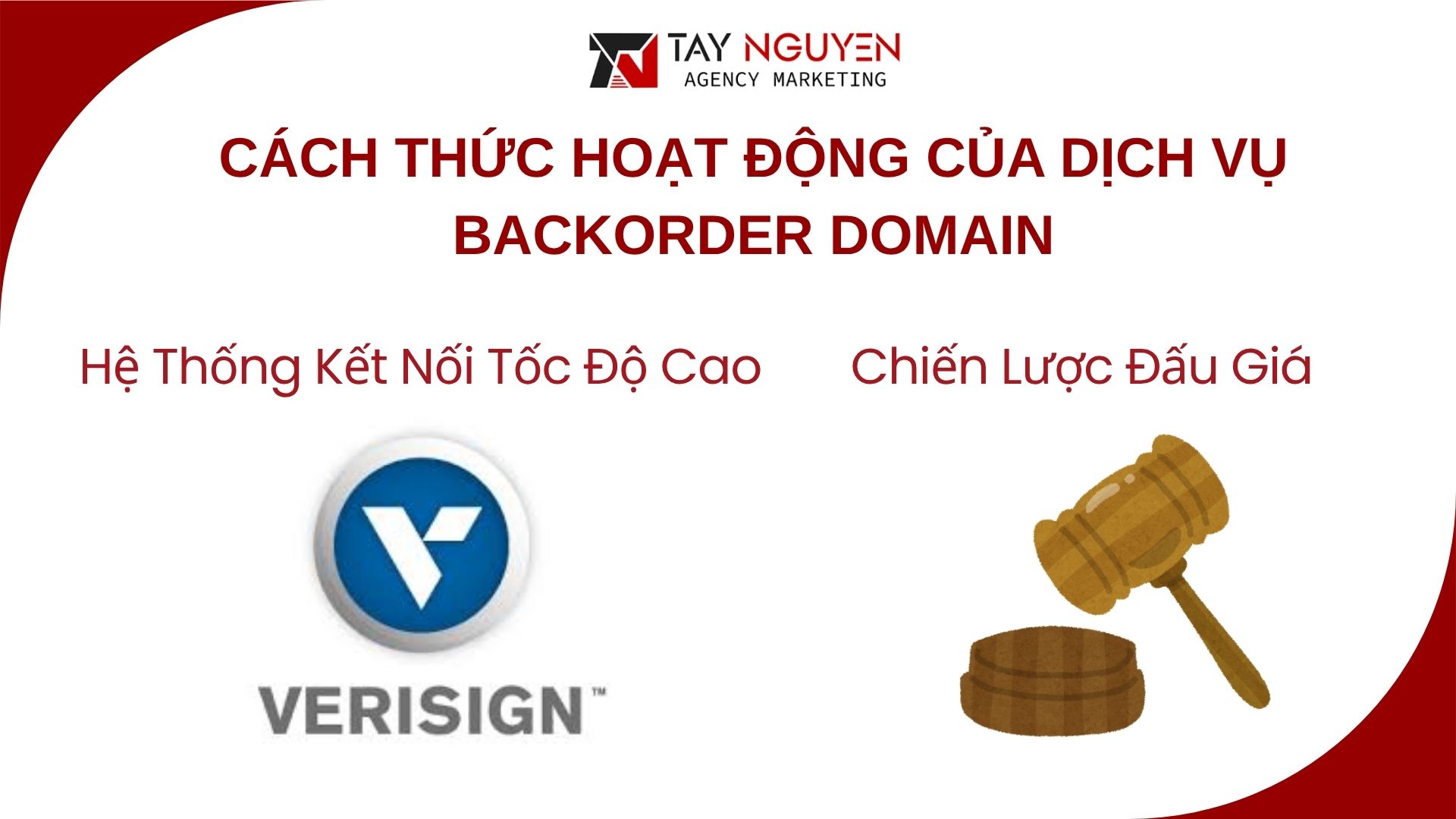 Cách Thức Hoạt Động Của Dịch Vụ Backorder Domain