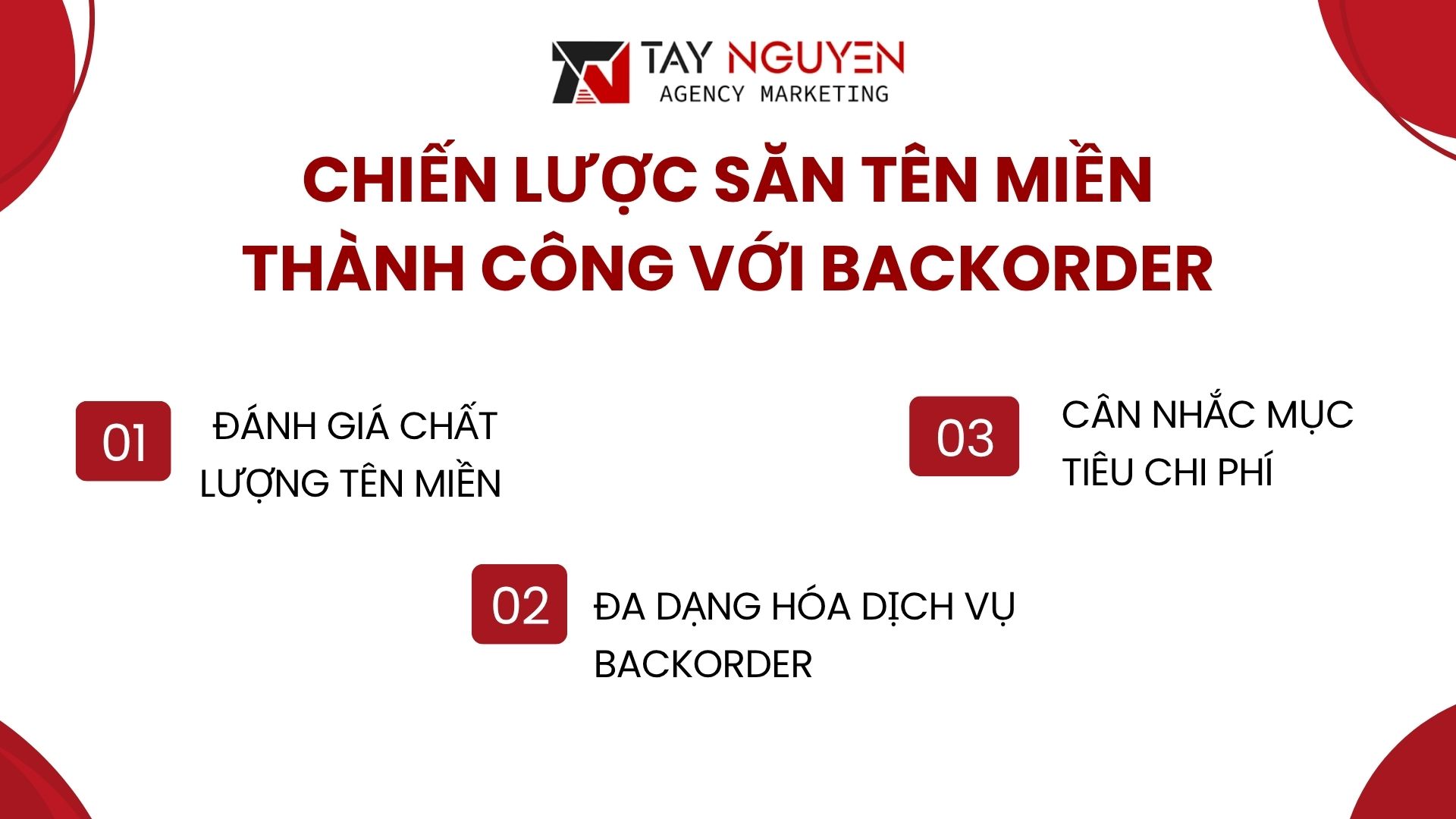 Chiến Lược Săn Tên Miền Thành Công Với Backorder