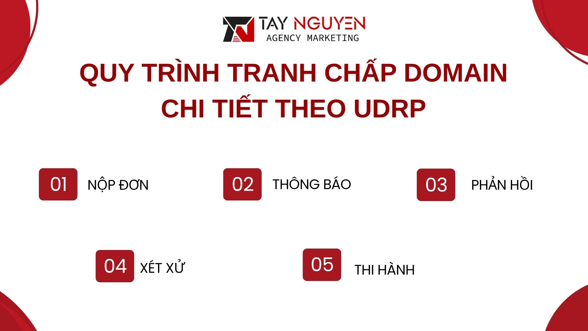 Quy Trình Tranh Chấp Domain Chi Tiết Theo UDRP