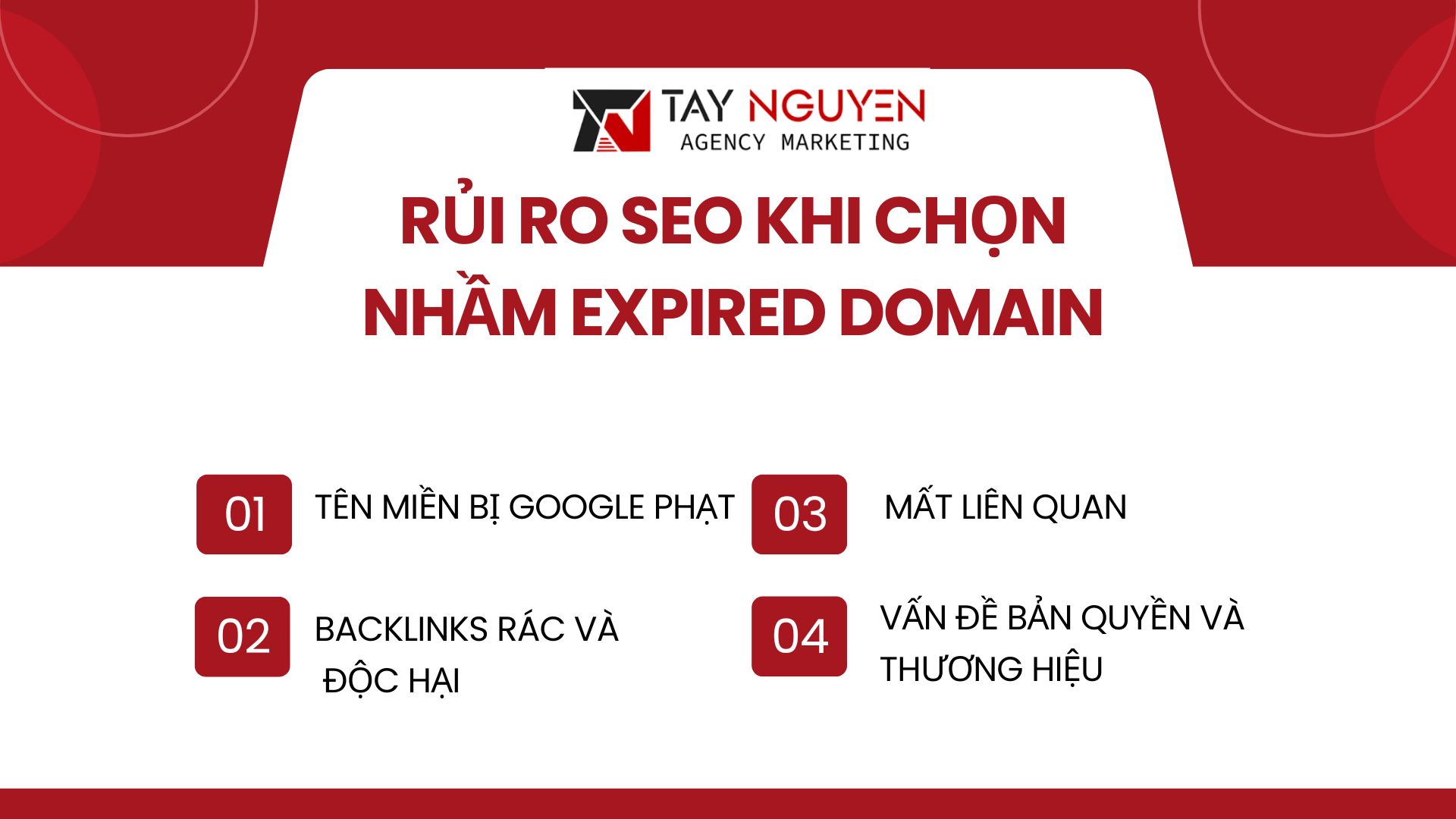 Rủi ro SEO "Chết người" khi chọn nhầm Expired Domain 