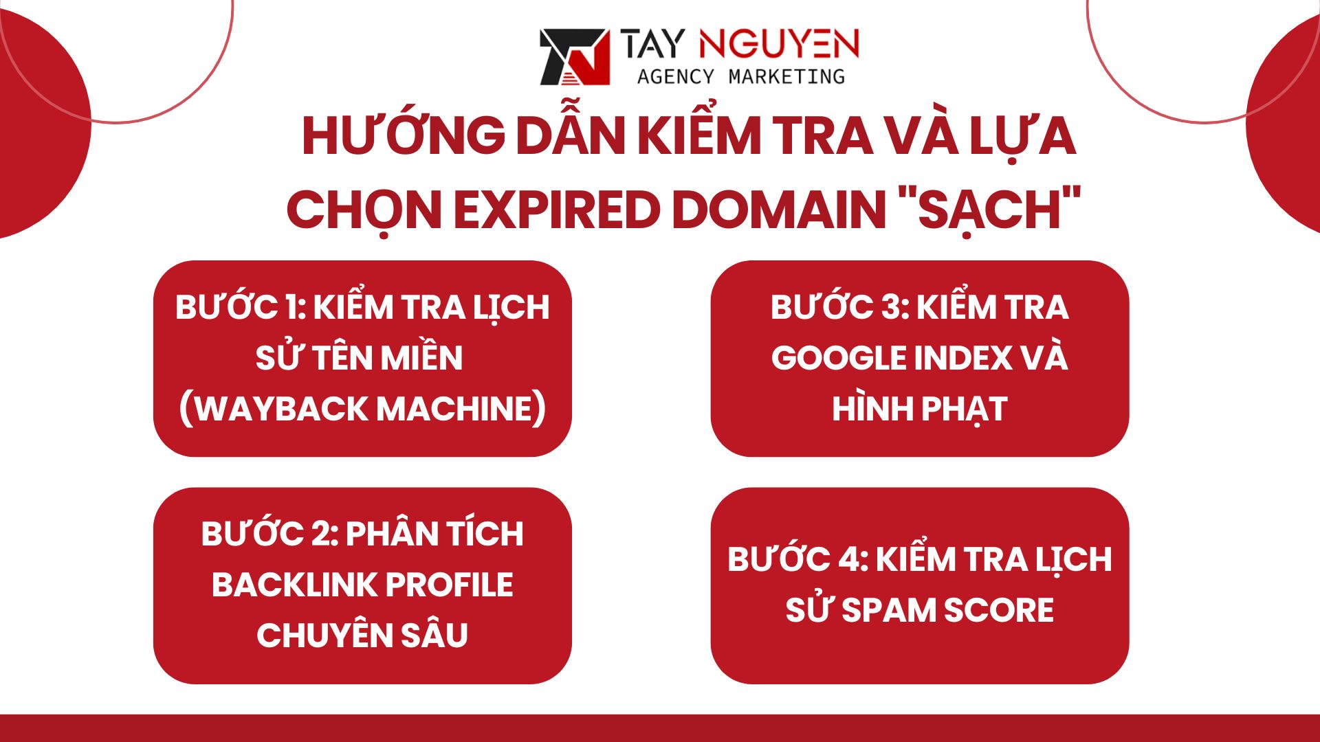 Hướng dẫn Kiểm tra và Lựa chọn Expired Domain "Sạch" 