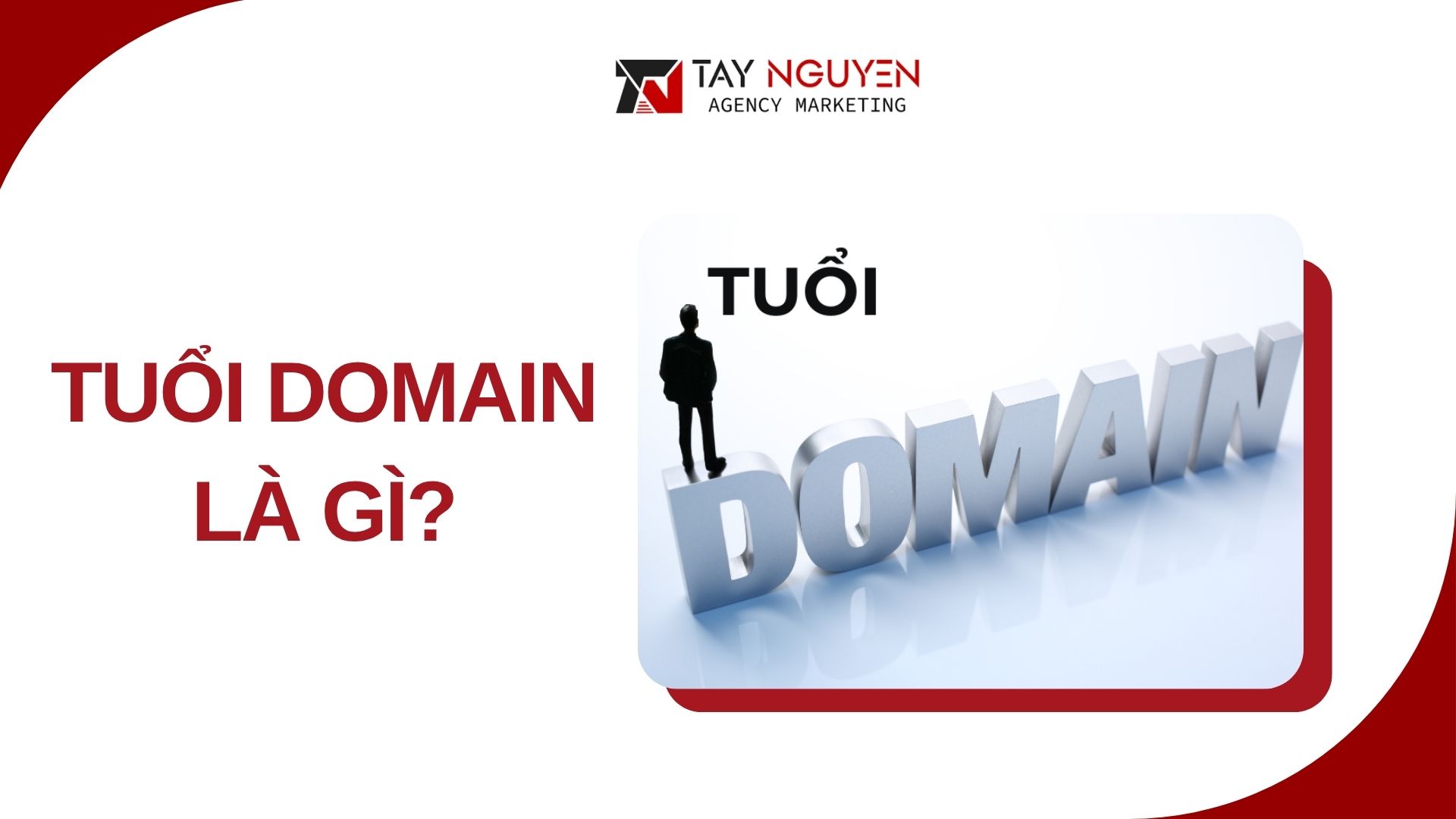 Tuổi Domain Là Gì?