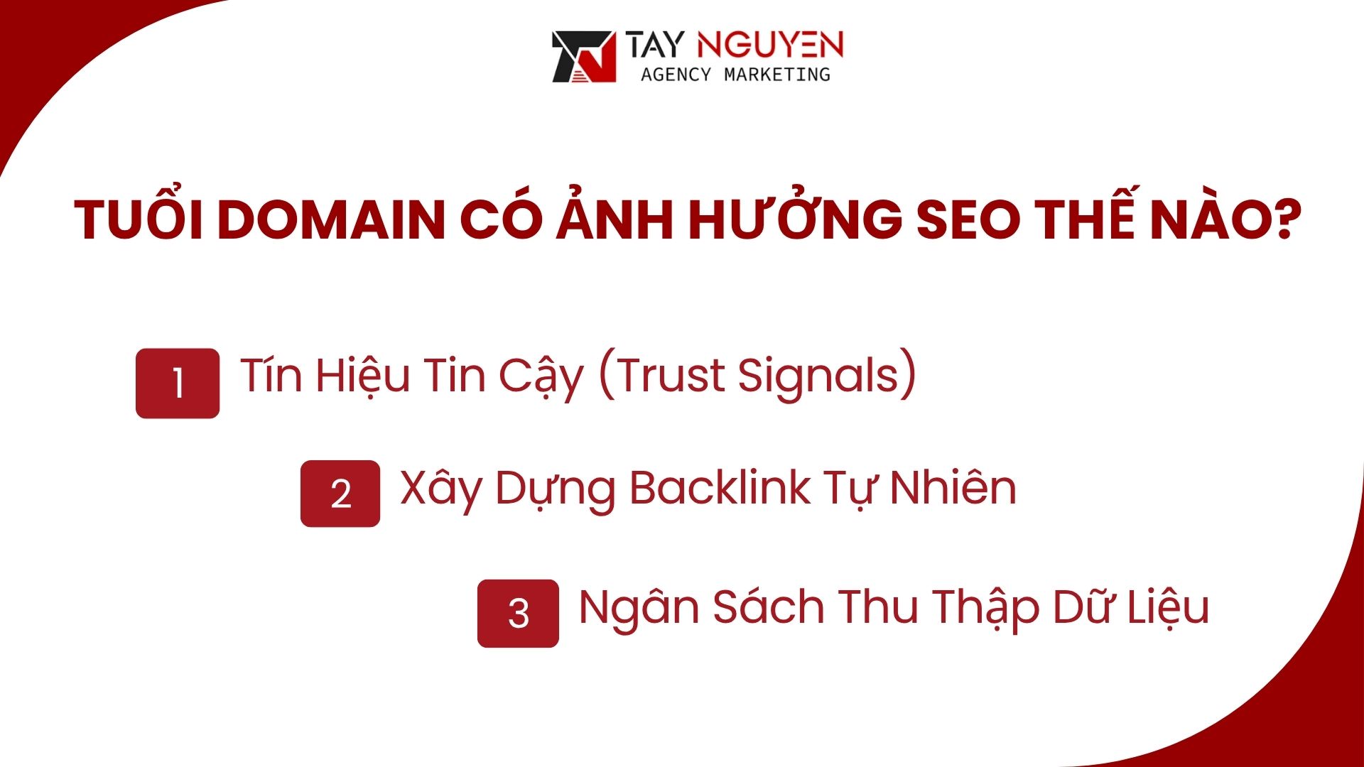 Tuổi Domain Có Ảnh Hưởng SEO Thế Nào?