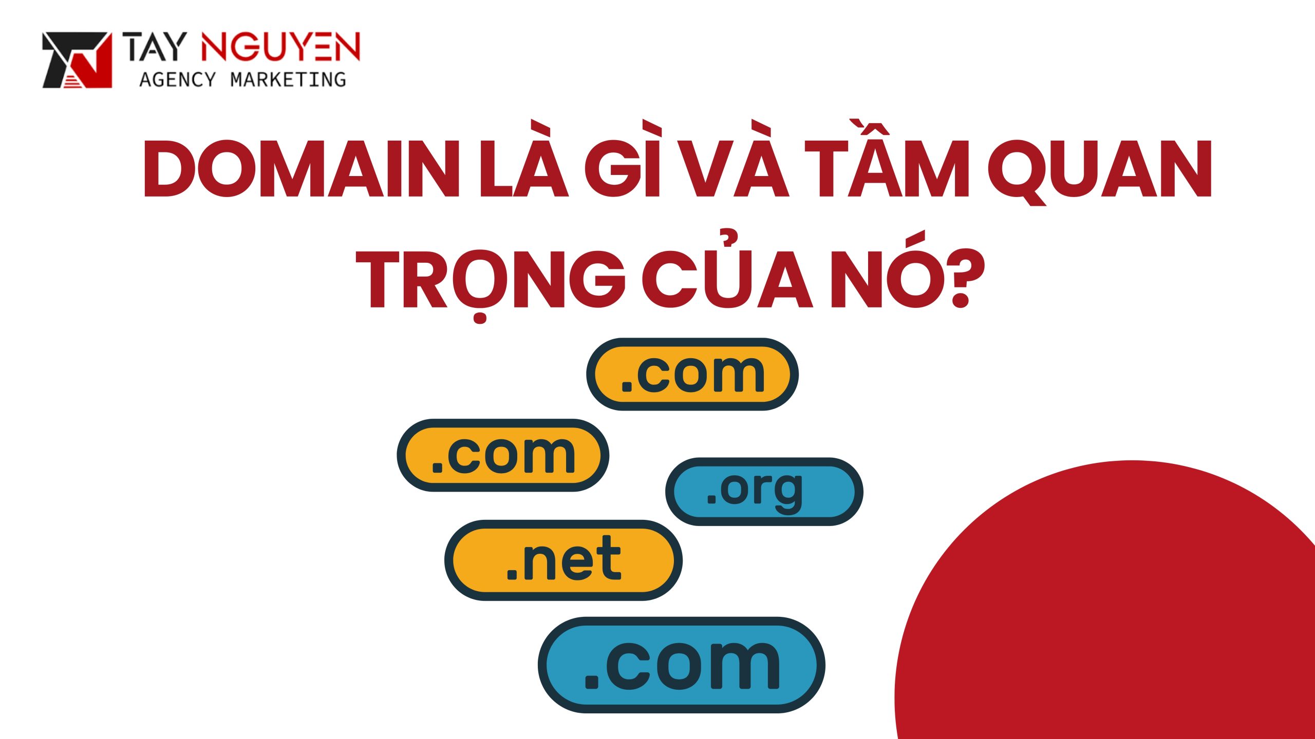 Domain là gì và tầm quan trọng của nó trong hệ thống mạng toàn cầu