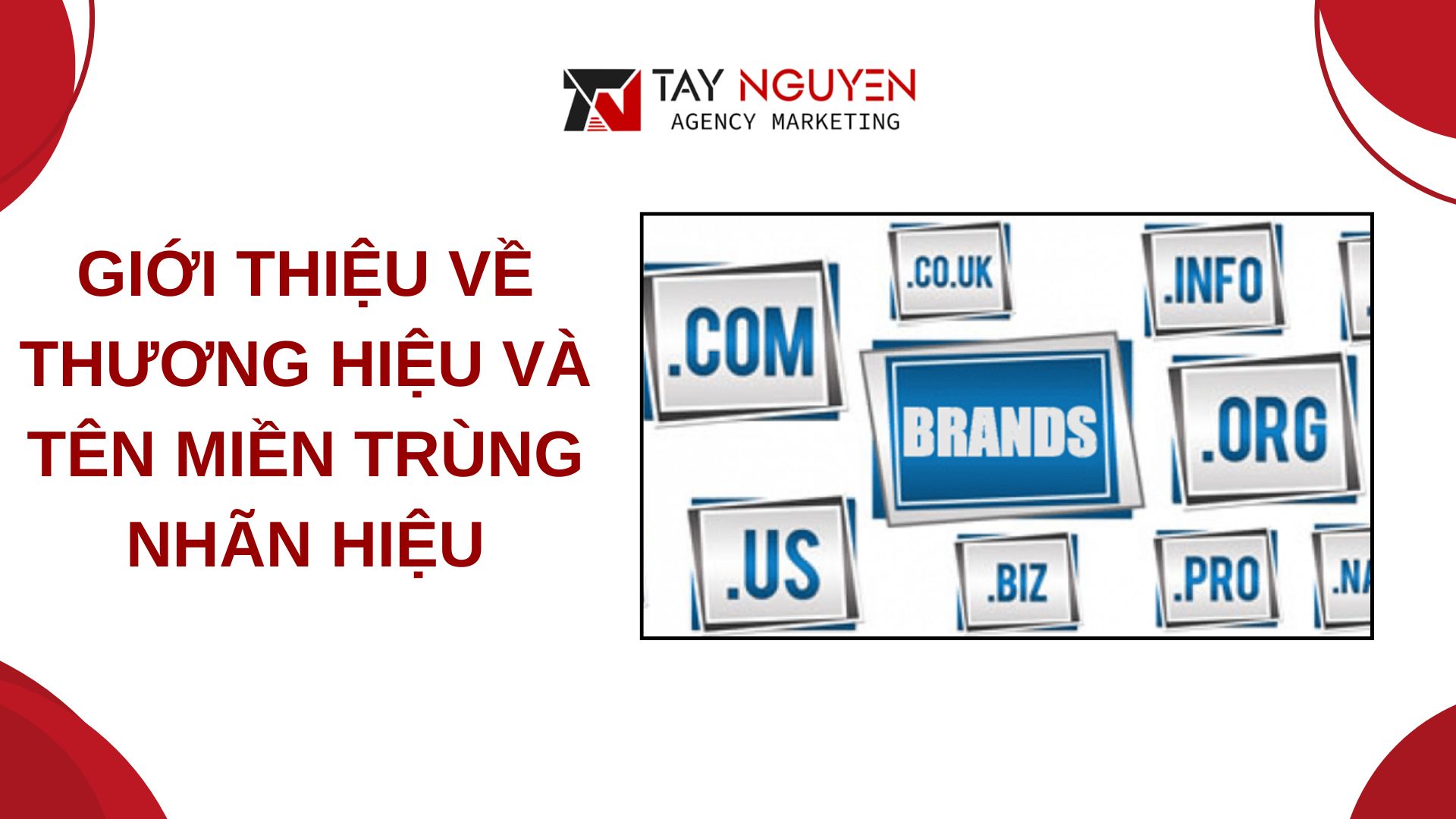 Giới thiệu về thương hiệu và tên miền trùng nhãn hiệu
