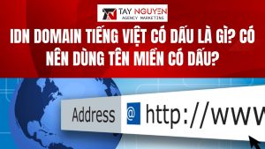 IDN Domain tiếng Việt có dấu là gì? Có nên dùng tên miền có dấu?