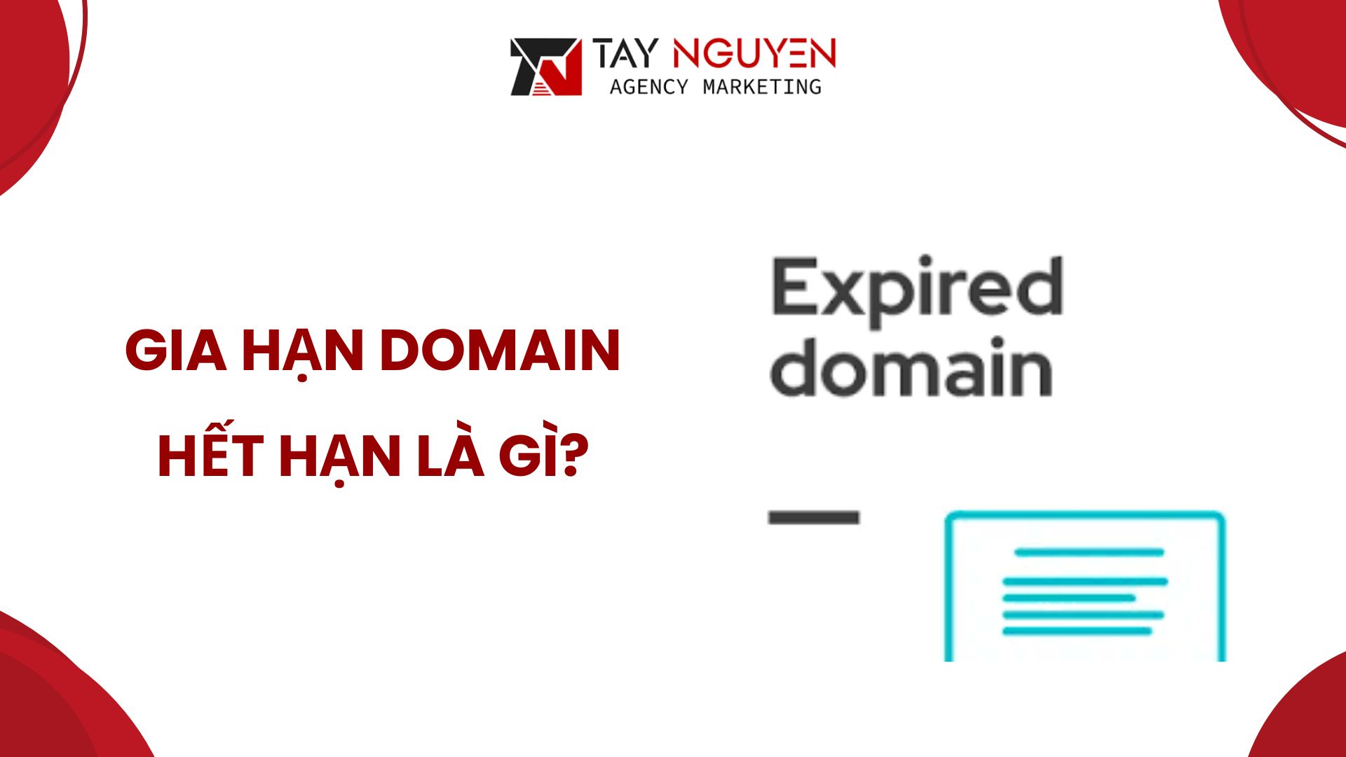 Gia hạn domain hết hạn là gì?