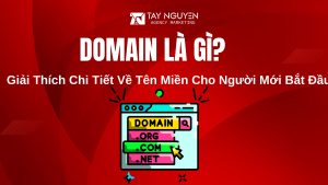 Domain Là Gì? Giải Thích Chi Tiết Về Tên Miền Cho Người Mới Bắt Đầu
