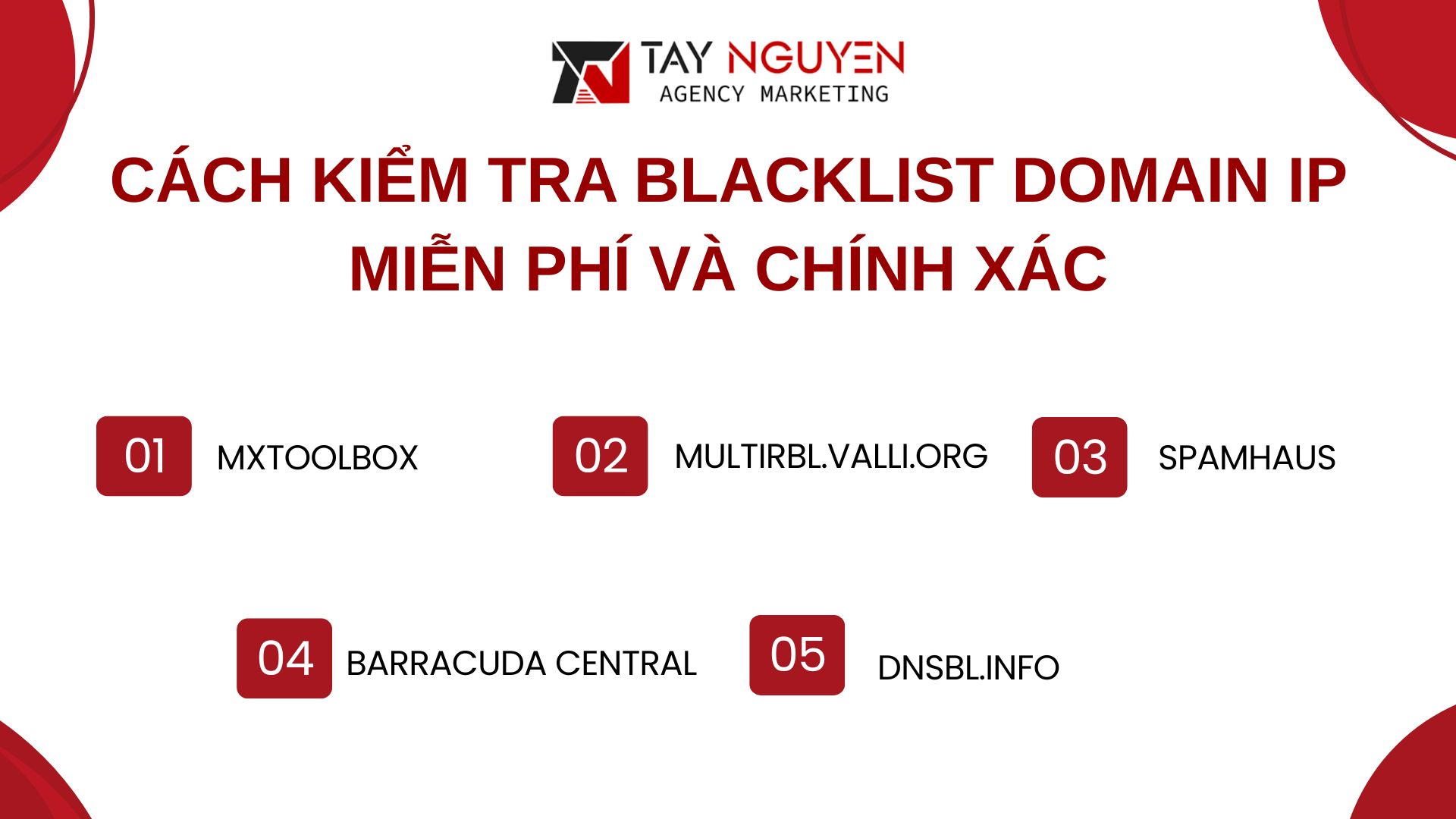 Cách kiểm tra blacklist domain IP miễn phí và chính xác