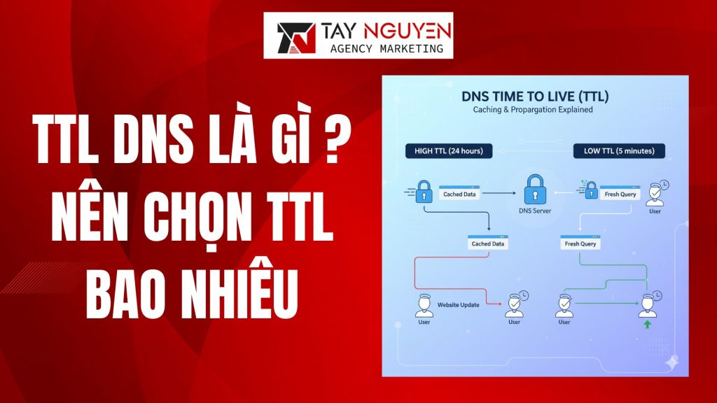 TTL DNS LÀ GÌ ? NÊN CHỌN TTL BAO NHIÊU