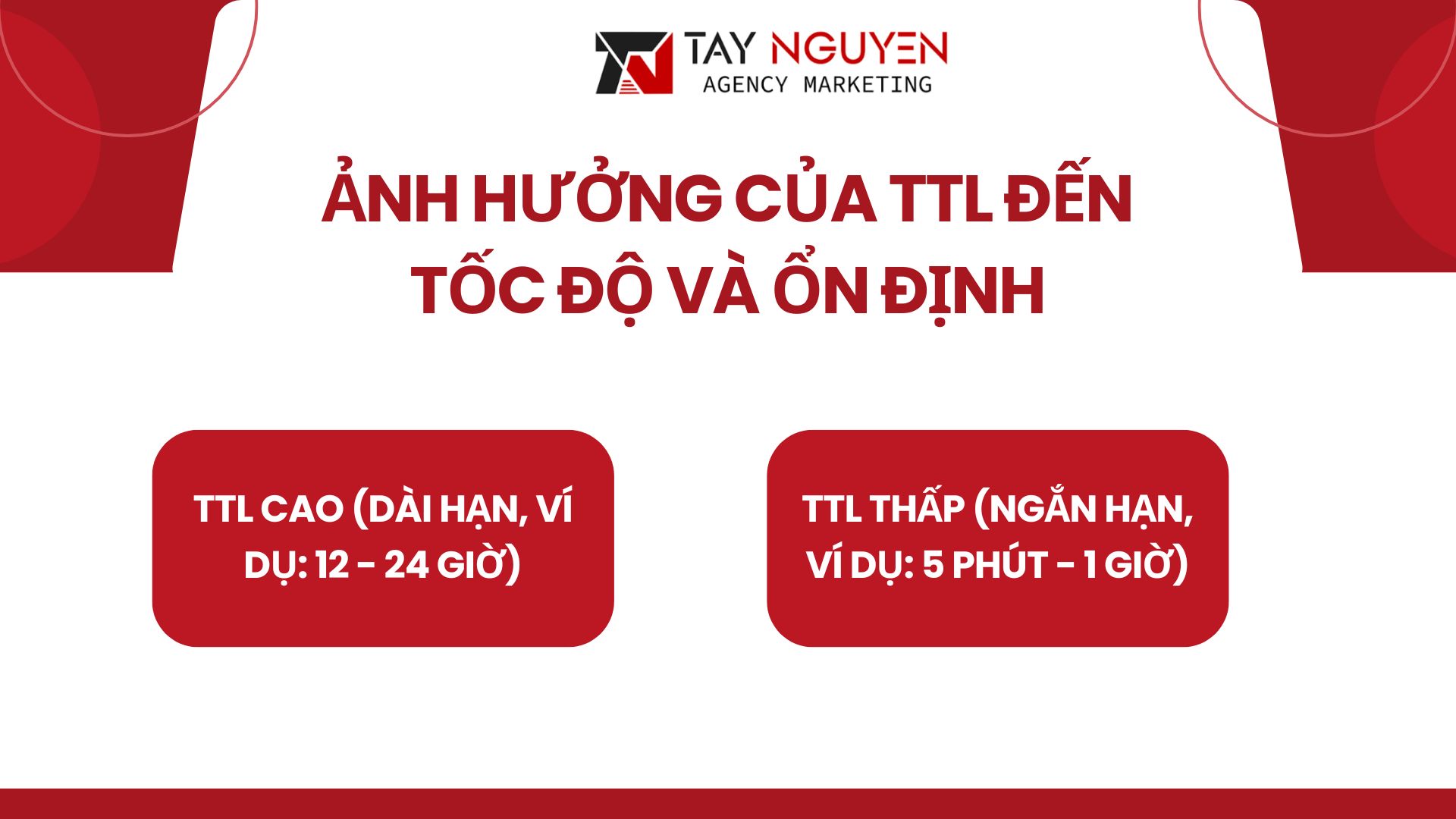 Ảnh hưởng của TTL đến tốc độ và ổn định