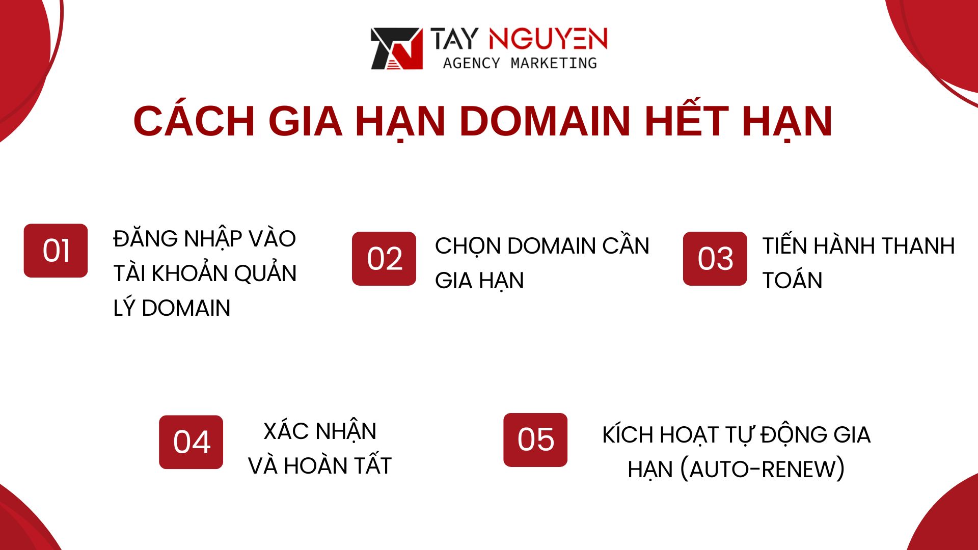 Cách gia hạn domain hết hạn 
