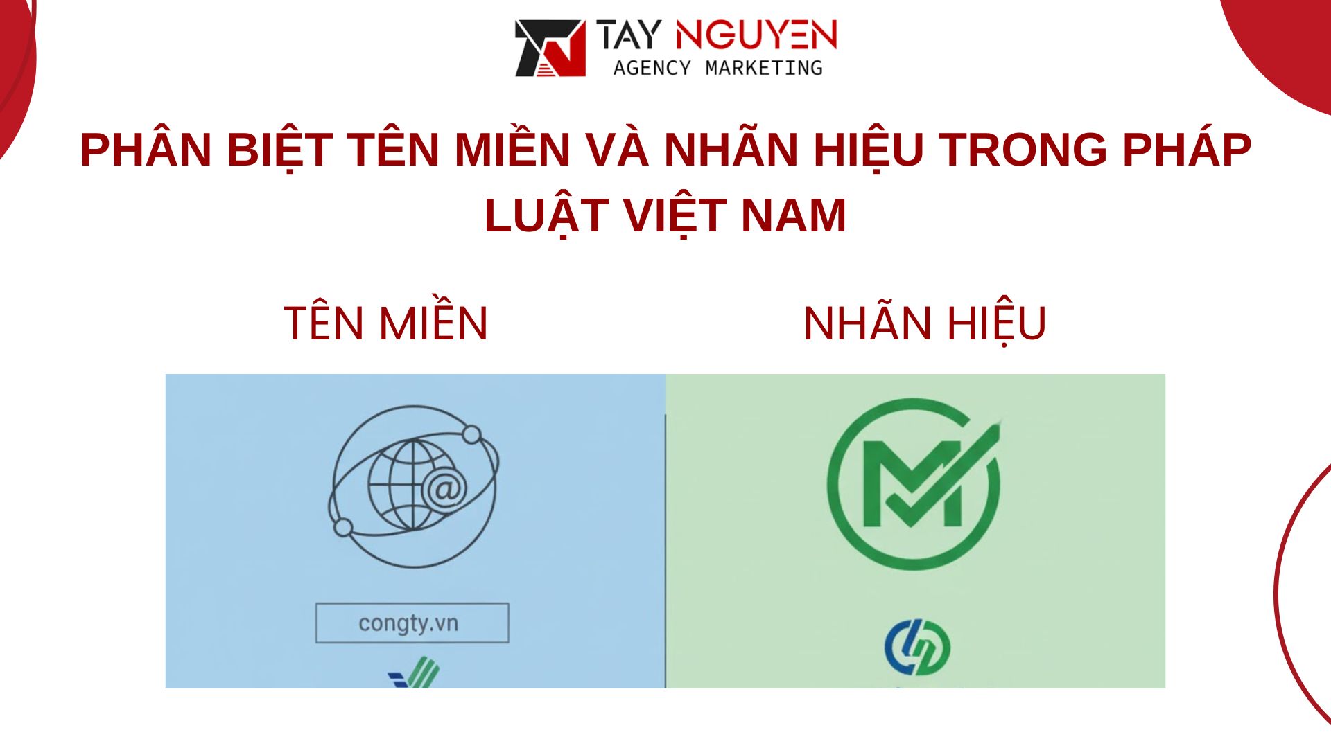 Phân biệt tên miền và nhãn hiệu trong pháp luật Việt Nam