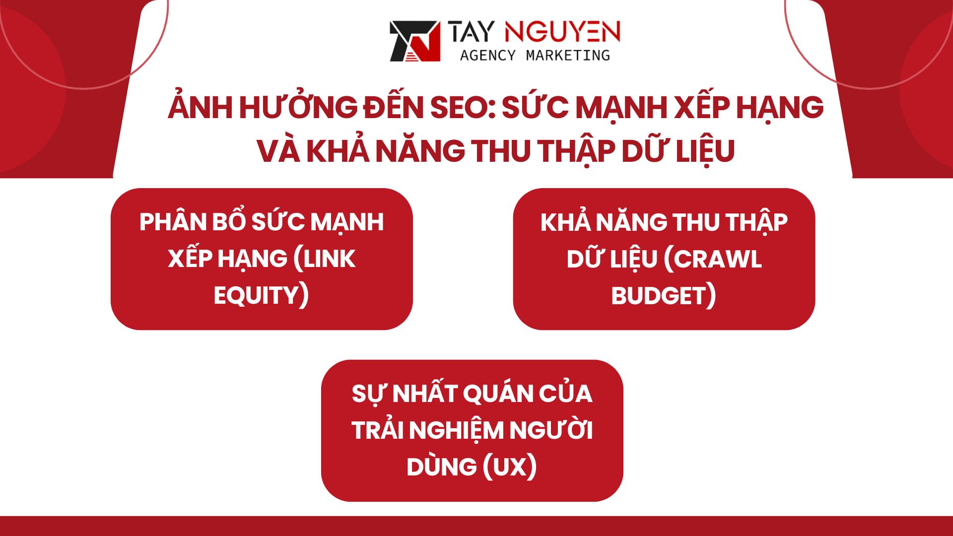 Ảnh hưởng đến SEO: Sức mạnh xếp hạng và Khả năng thu thập dữ liệu