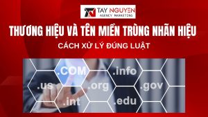 Thương hiệu và tên miền trùng nhãn hiệu: Cách xử lý đúng luật