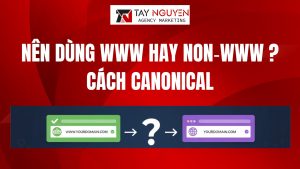 Nên dùng www hay non‑www ? Cách canonical