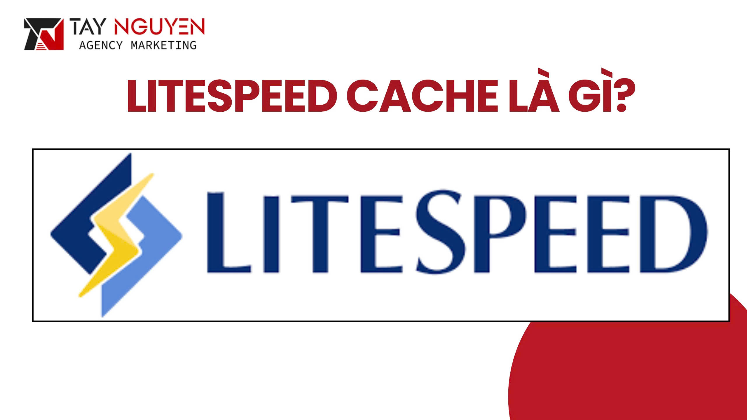 Litespeed Cache là gì và vì sao tối ưu tốc độ WordPress với Litespeed Cache trở thành lựa chọn hàng đầu?