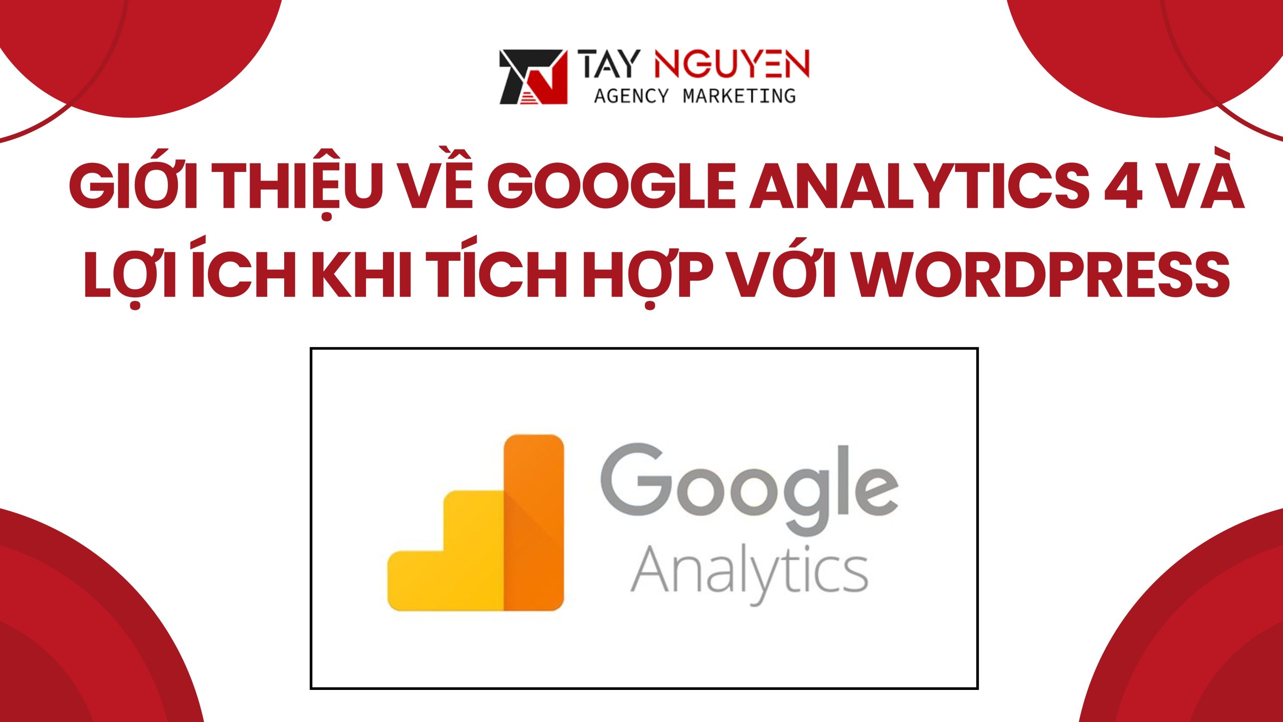 Giới thiệu về Google Analytics 4 và lợi ích khi tích hợp với WordPress