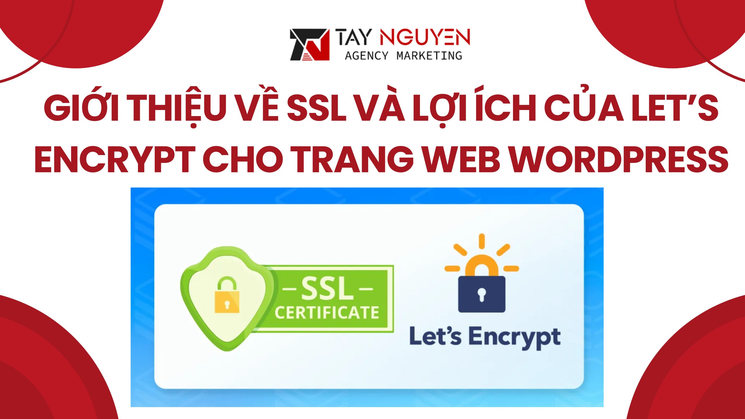 Giới thiệu về SSL và lợi ích của cài SSL Let’s Encrypt WordPress