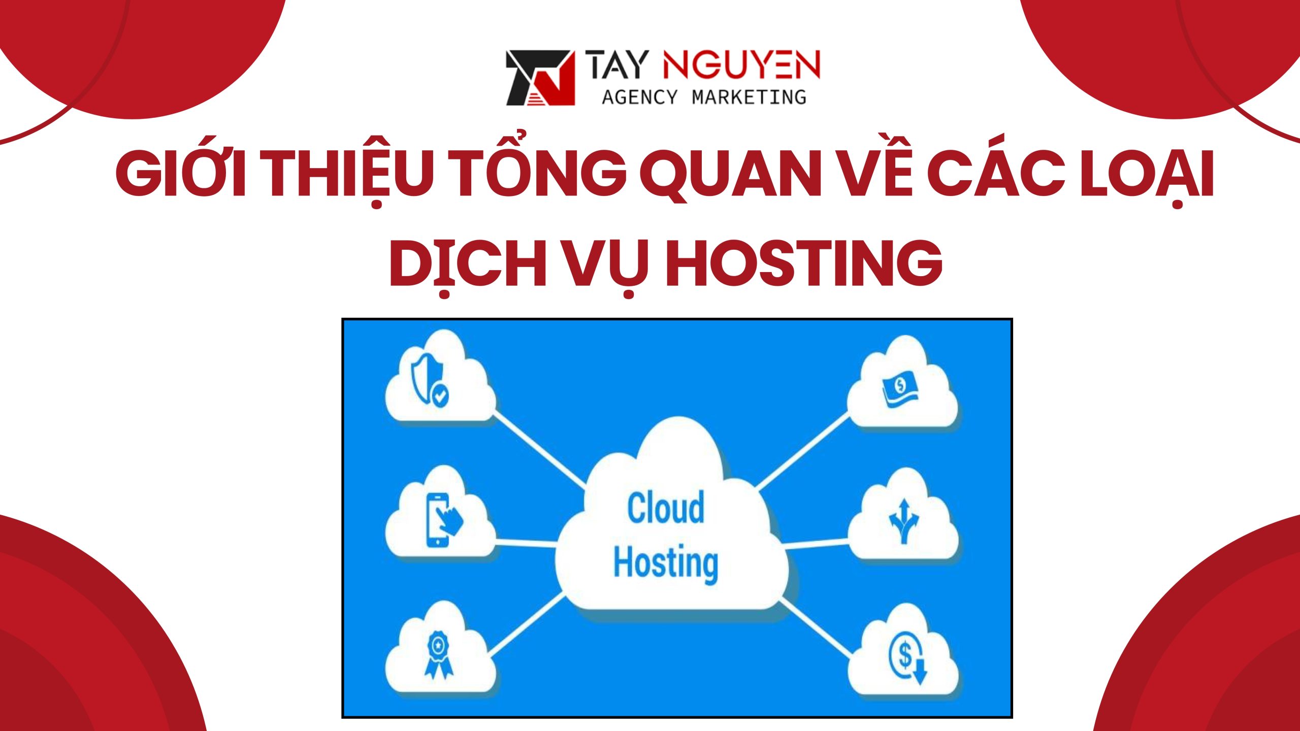 Giới thiệu tổng quan về các loại dịch vụ hosting