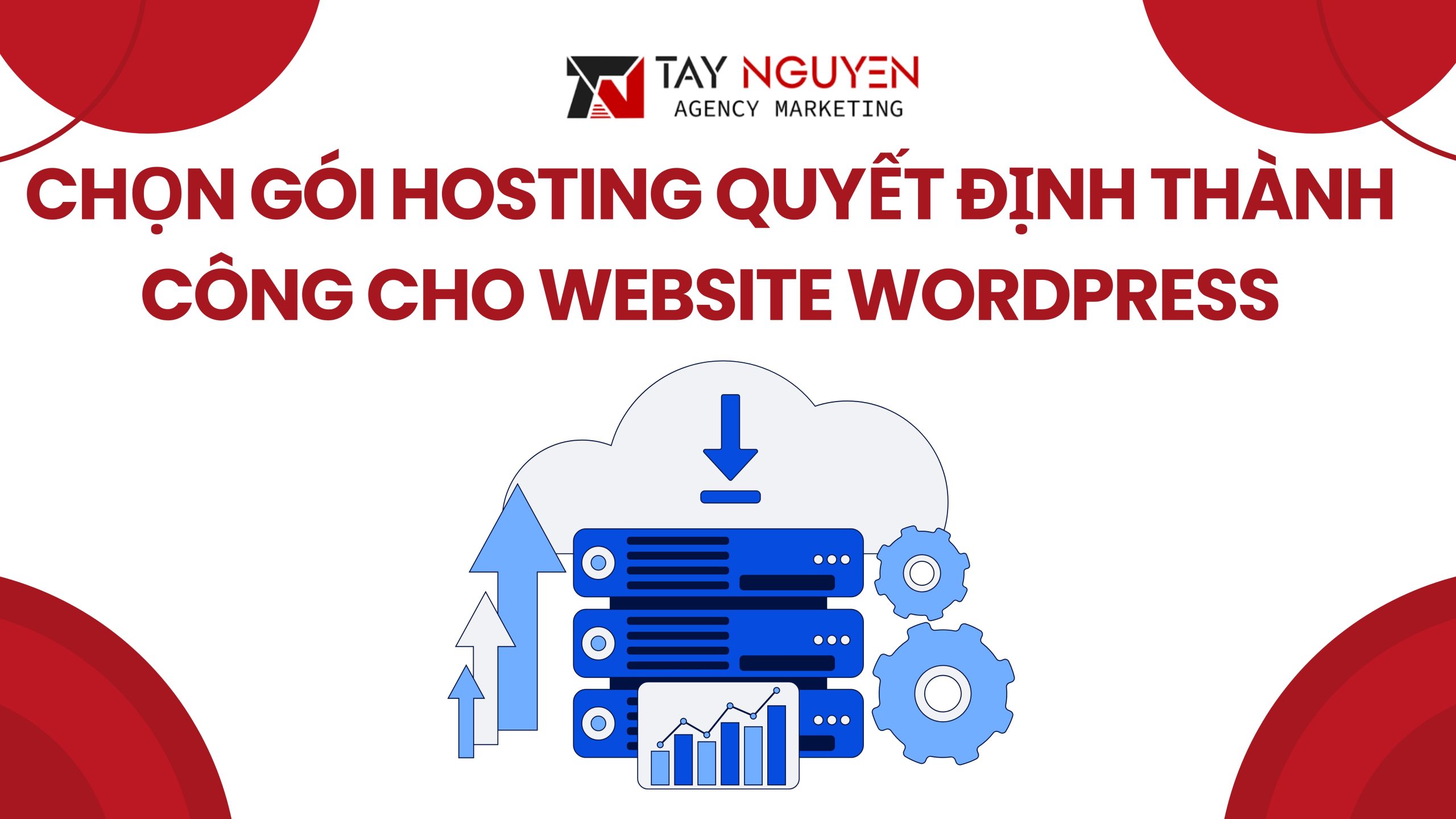 Tại sao việc chọn gói hosting đúng là yếu tố quyết định thành công cho website WordPress