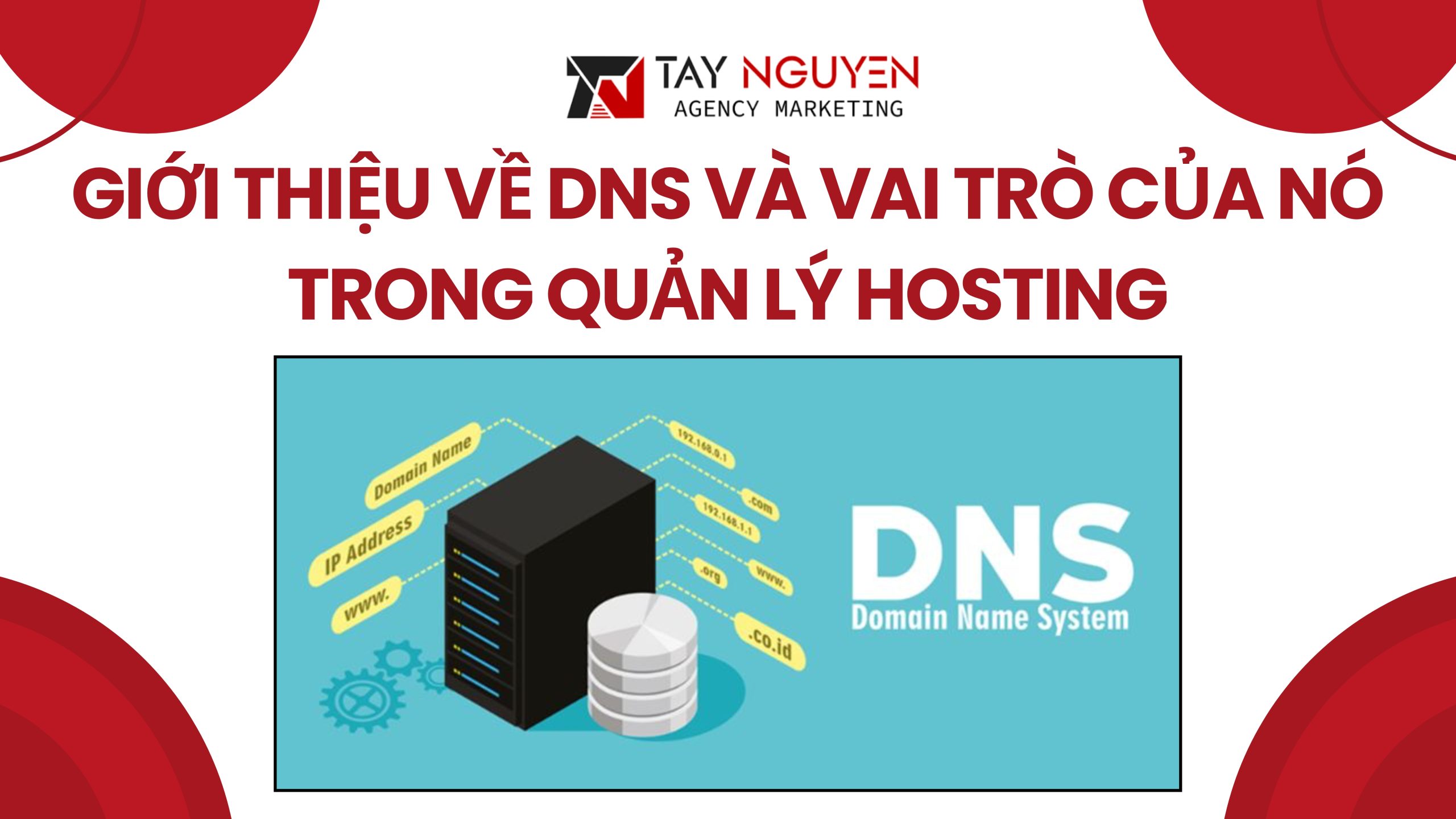 Giới thiệu về DNS và vai trò của nó trong quản lý hosting