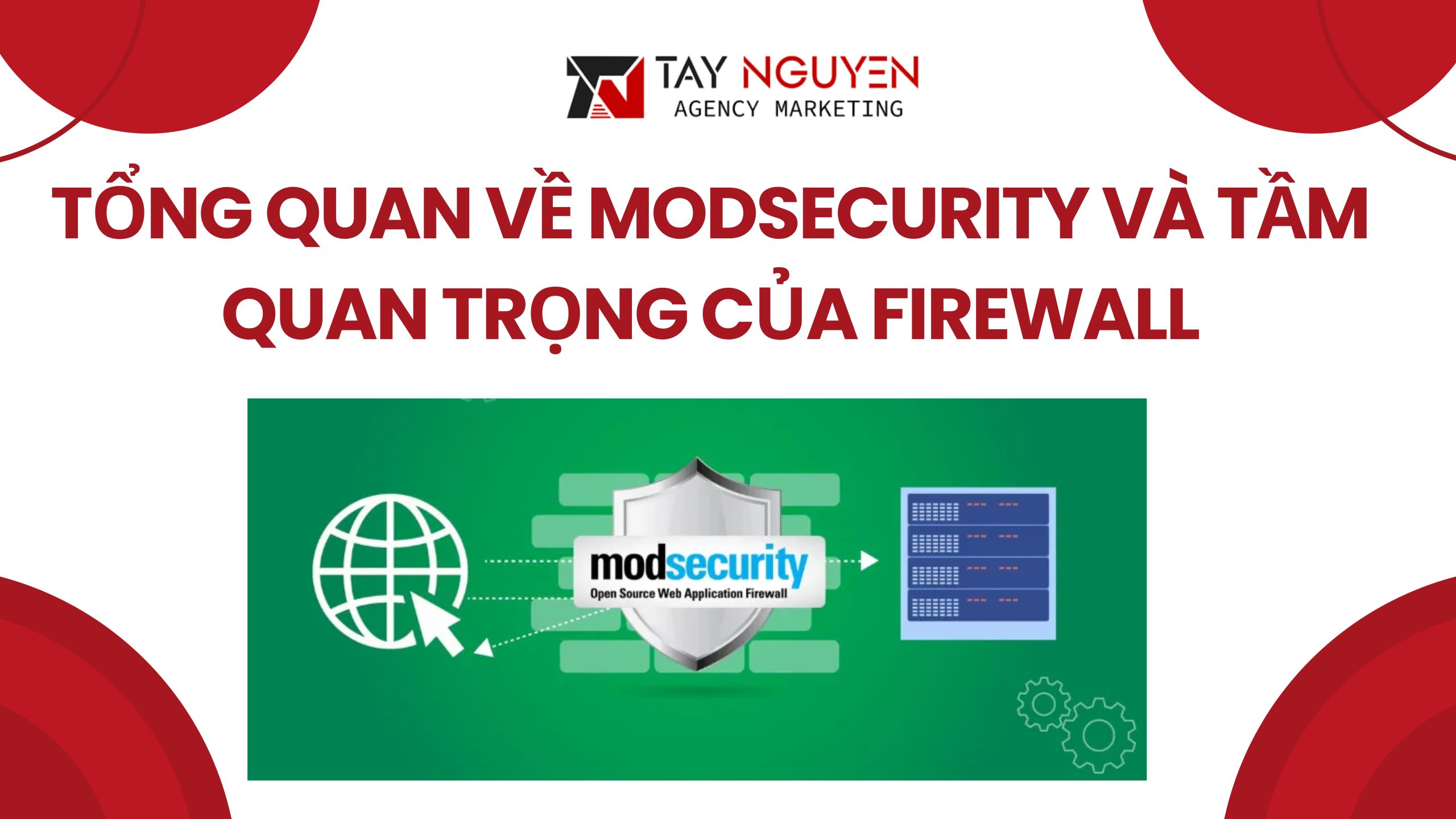 Tổng Quan Về ModSecurity và Tầm Quan Trọng của Firewall Trong An Ninh Mạng