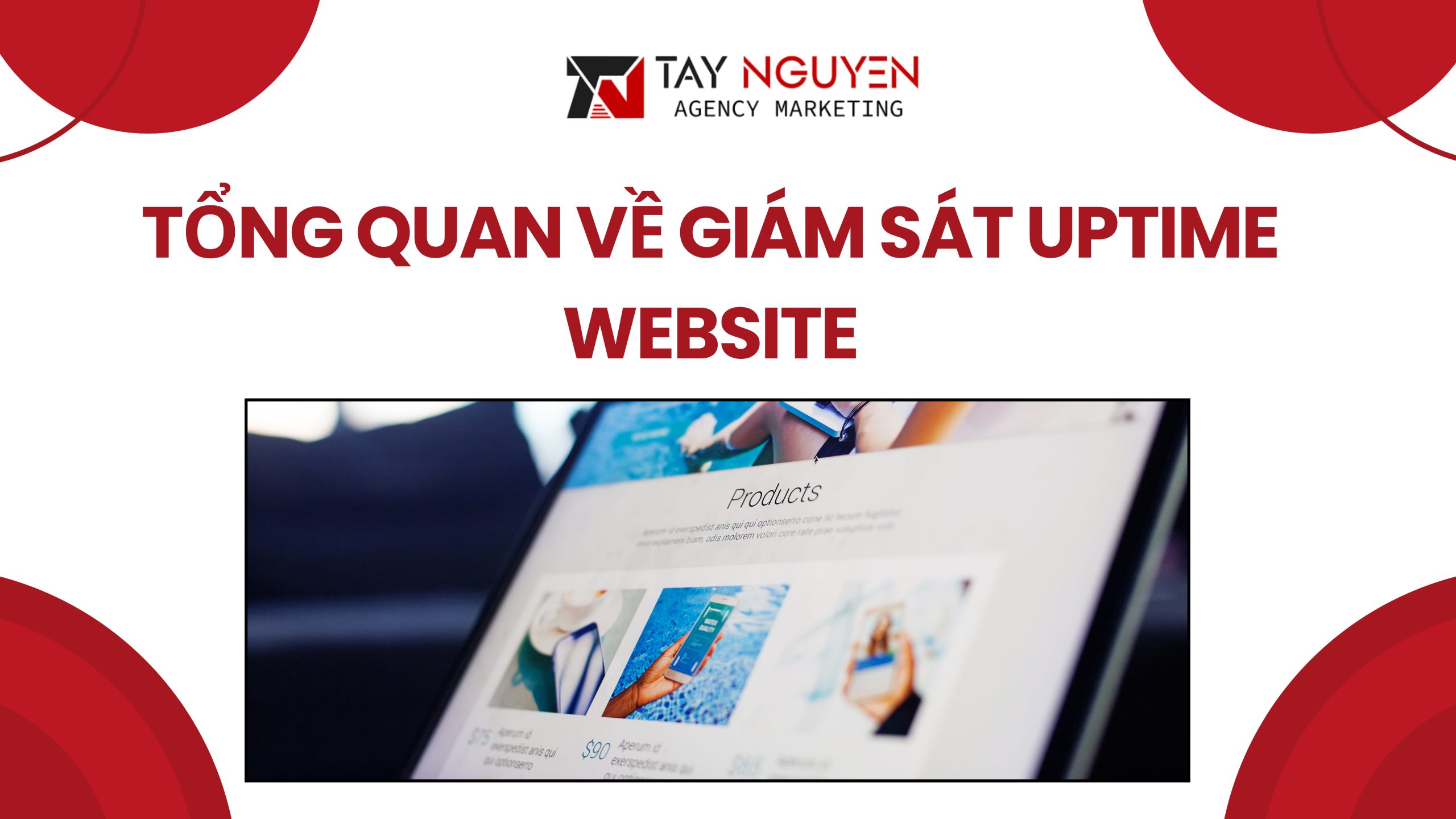 Tổng quan về giám sát uptime website
