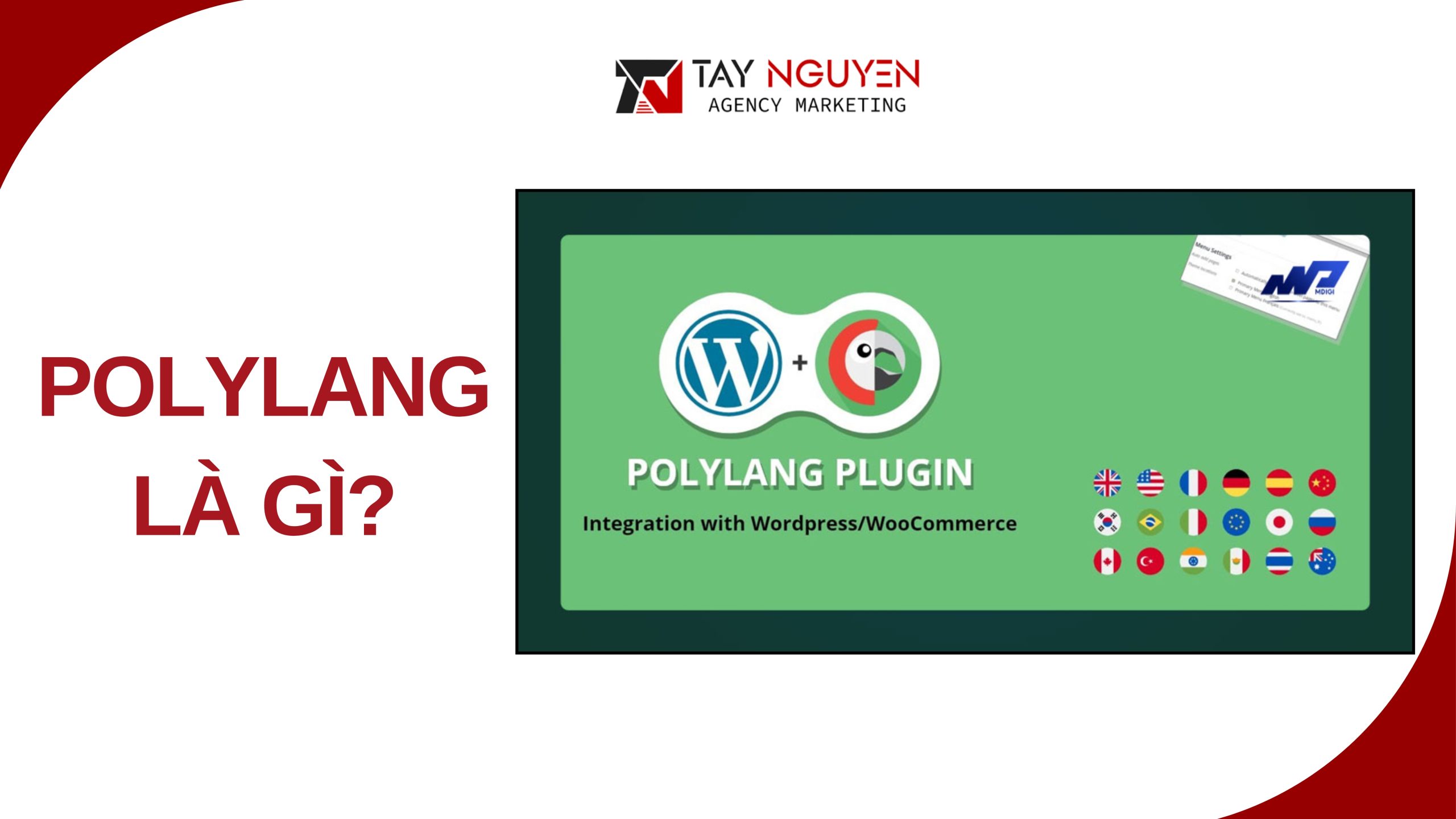 Giới thiệu về plugin Polylang và lợi ích của website đa ngôn ngữ