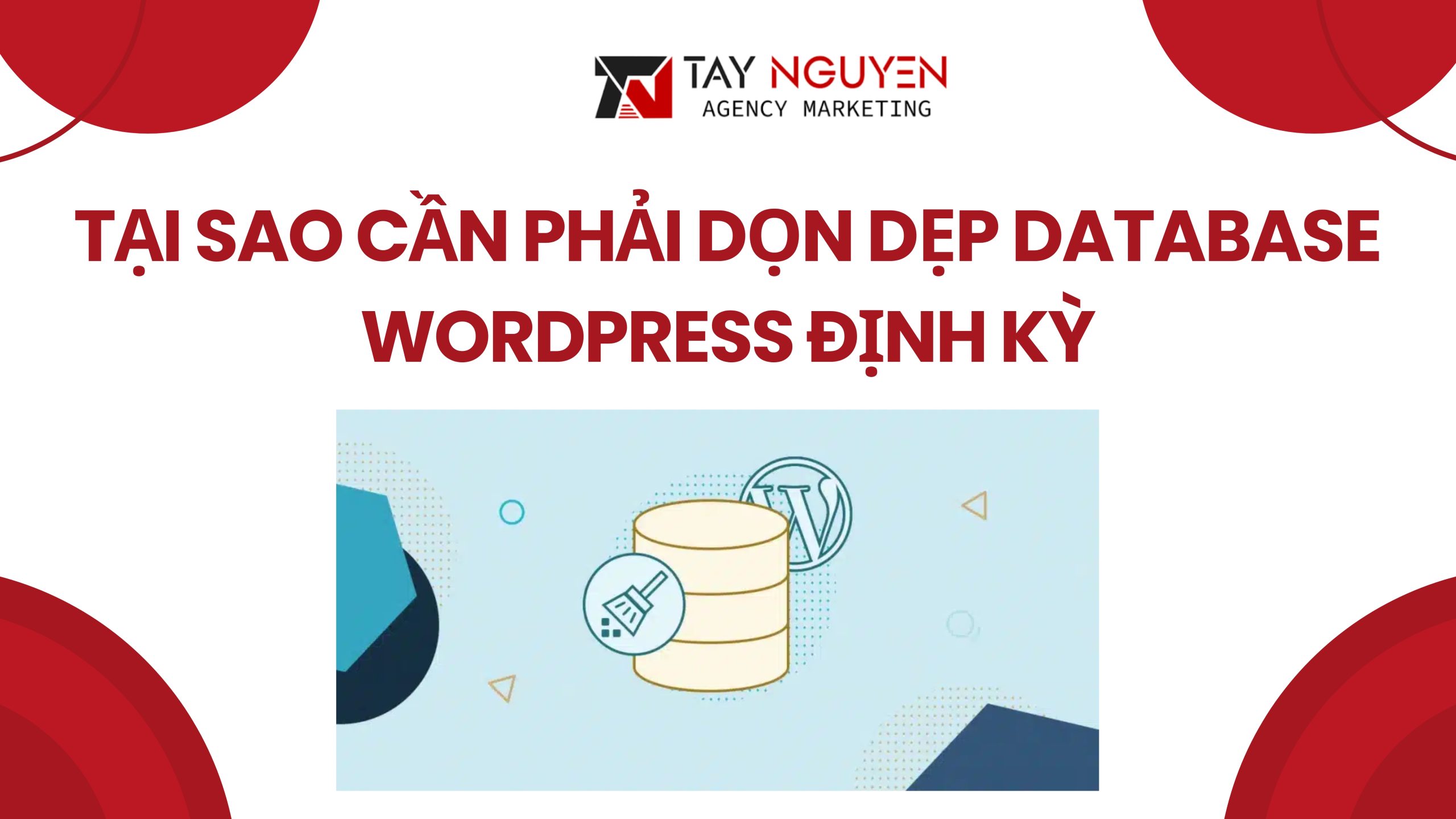 Tại Sao Cần Phải Dọn Dẹp Database WordPress Định Kỳ