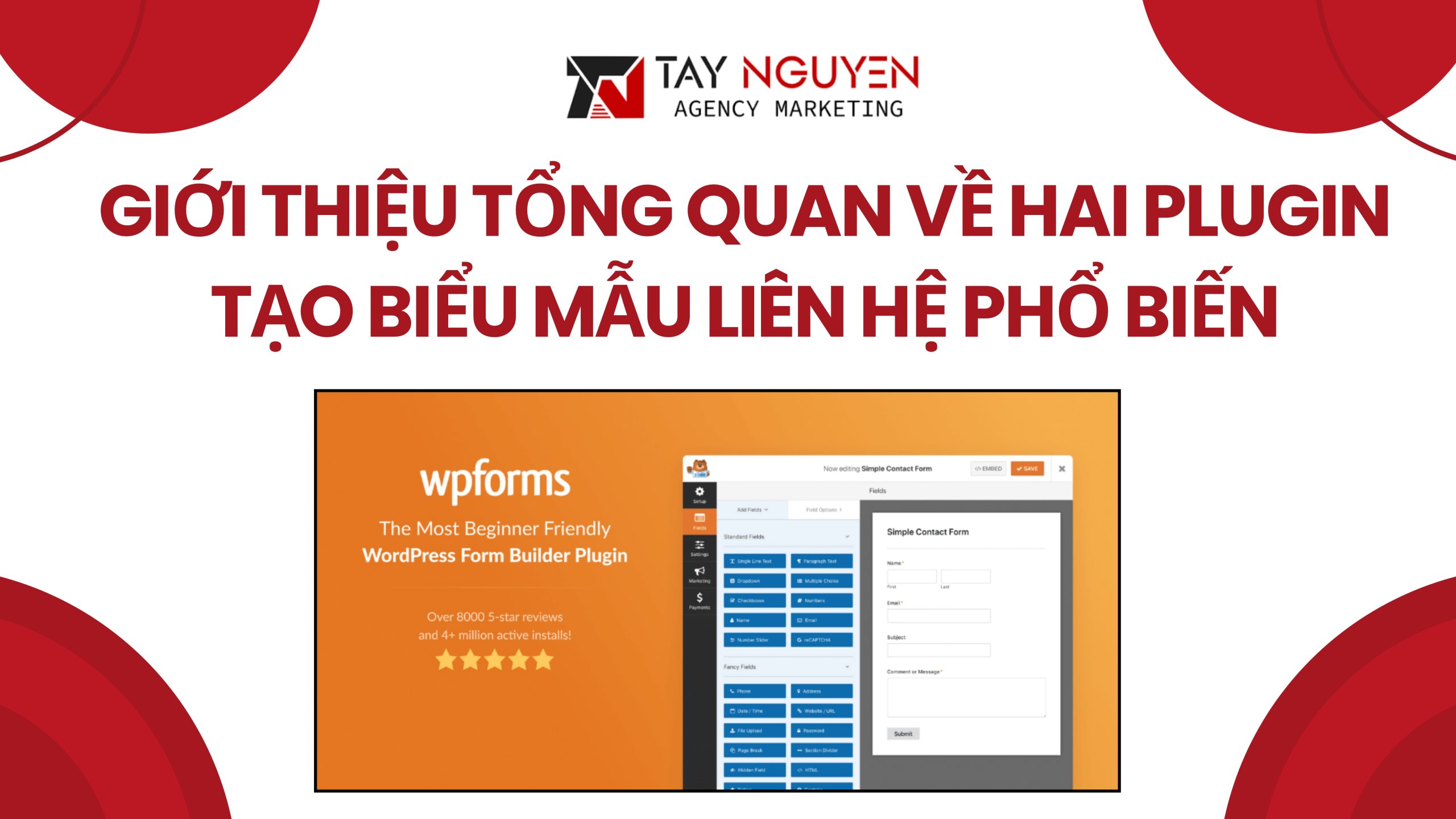 Giới thiệu tổng quan về hai plugin tạo biểu mẫu liên hệ phổ biến
