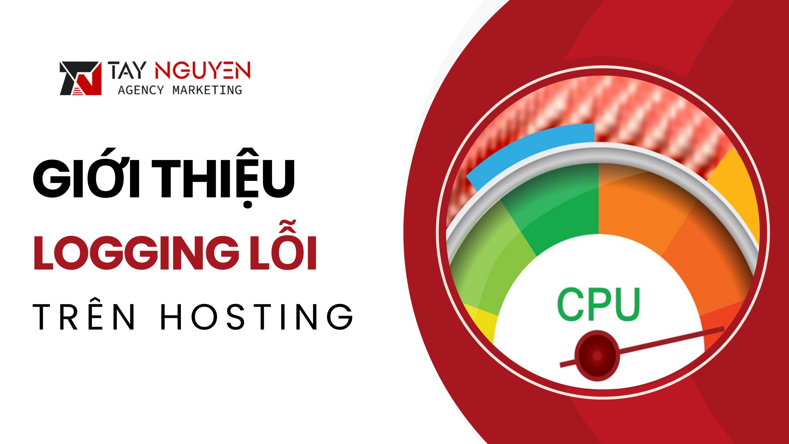 Giới thiệu về logging lỗi trong hosting