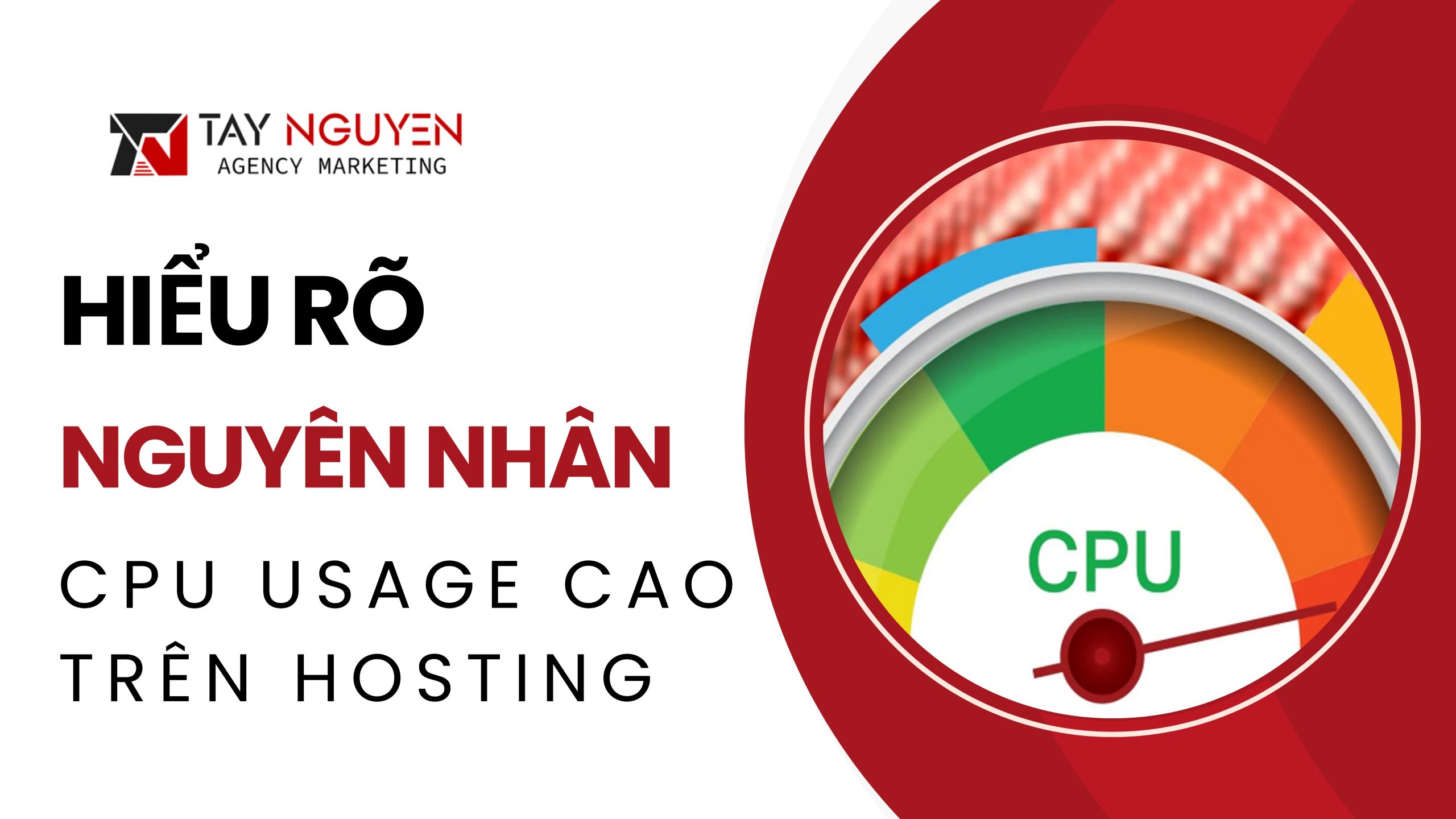 Hiểu Rõ Về Nguyên Nhân Gây Ra Lỗi CPU Usage Cao Trên Hosting