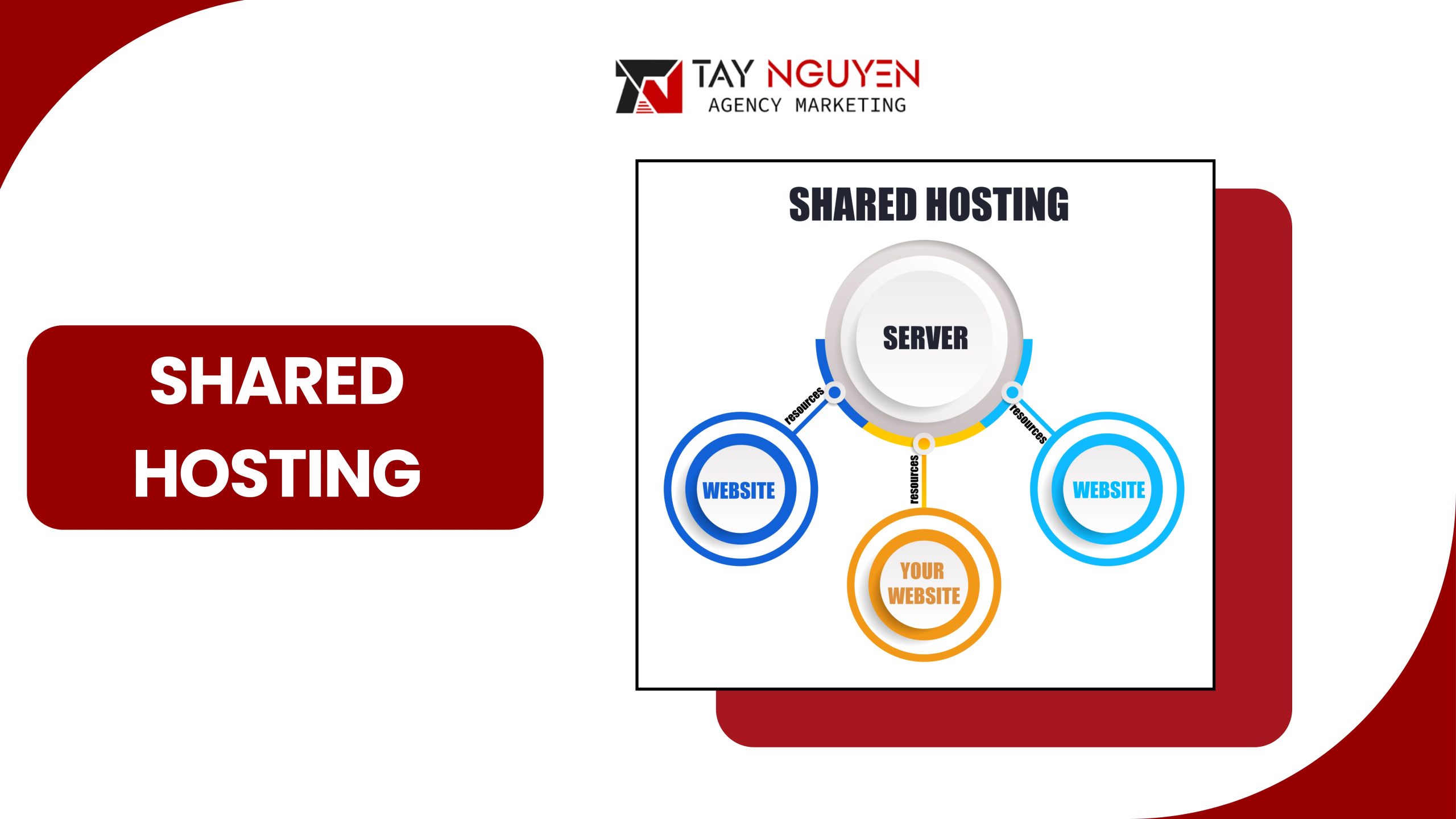 Shared Hosting