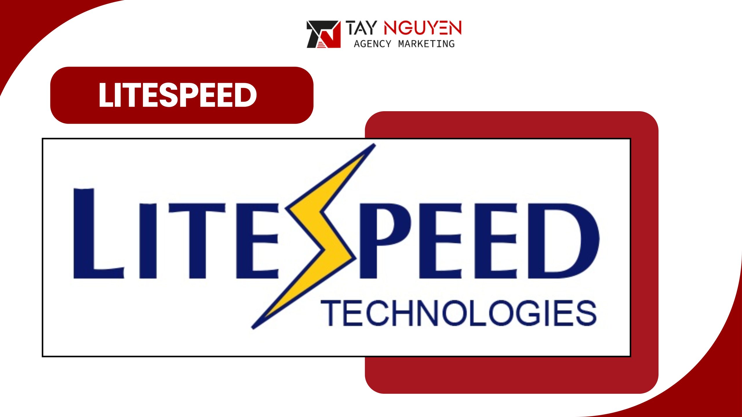 Các tính năng nổi bật của Litespeed