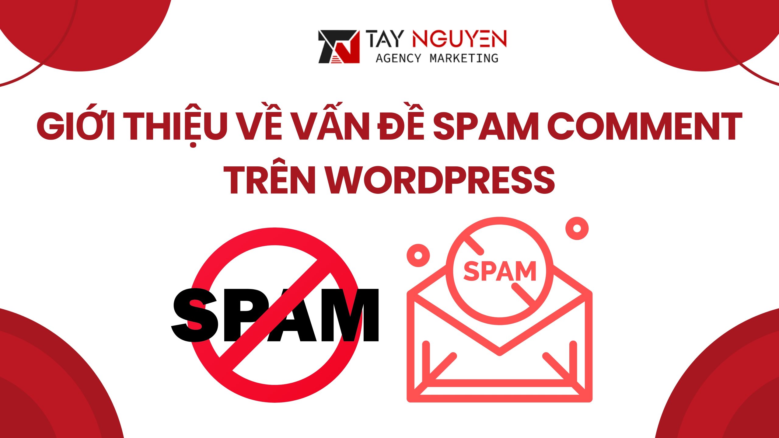 Vấn đề spam comment trên WordPress